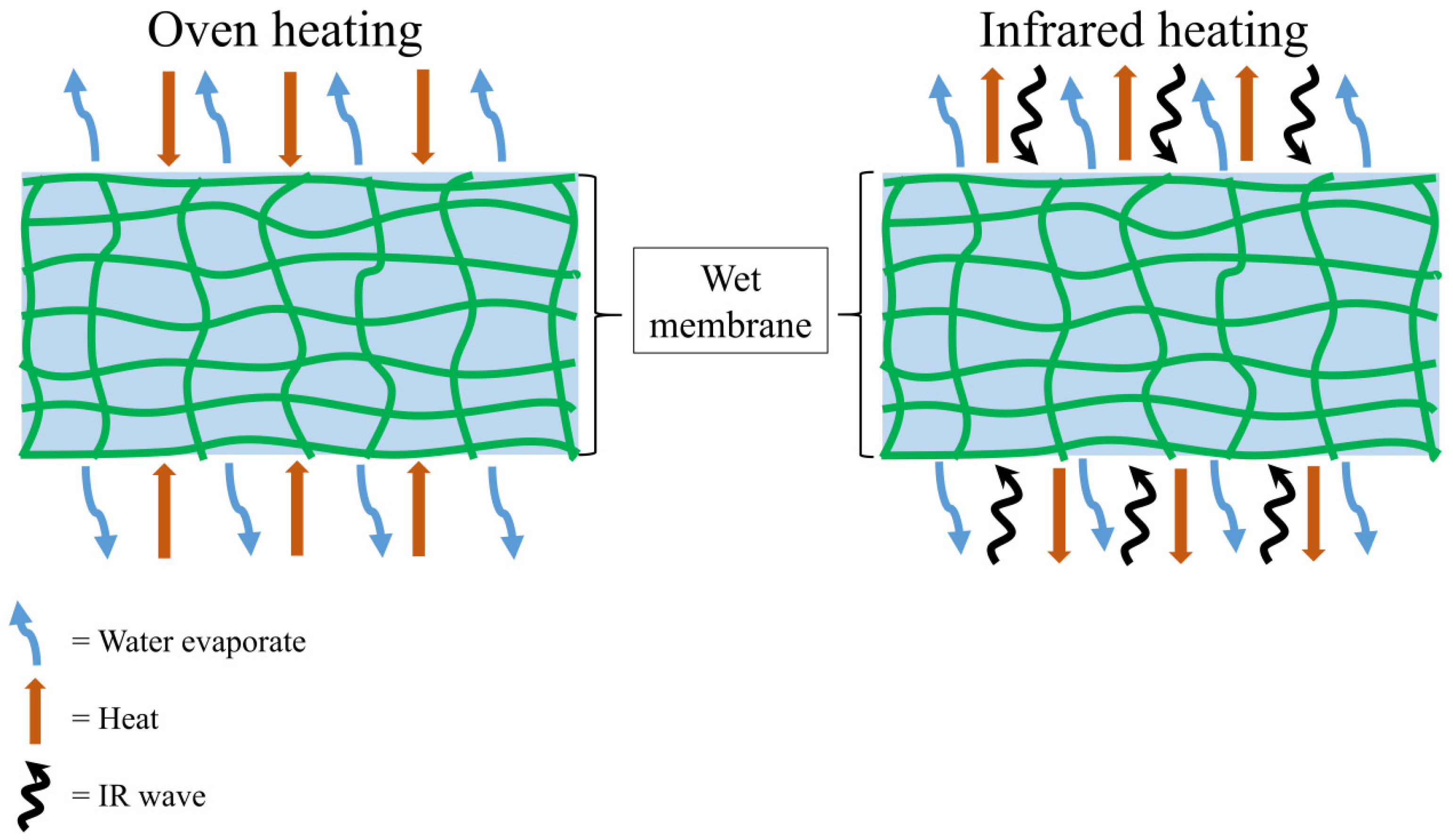 Membranes 12 00445 g002