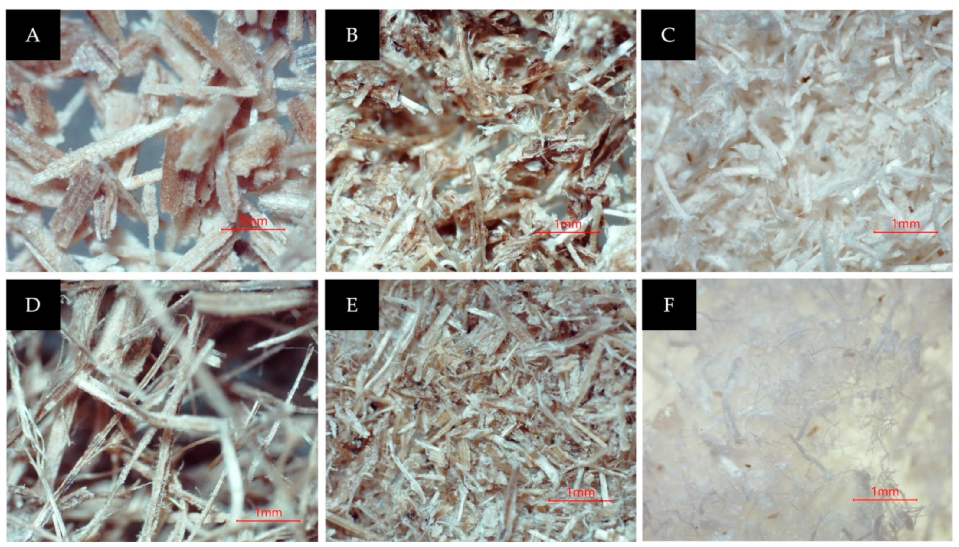 Membranes 12 00451 g003