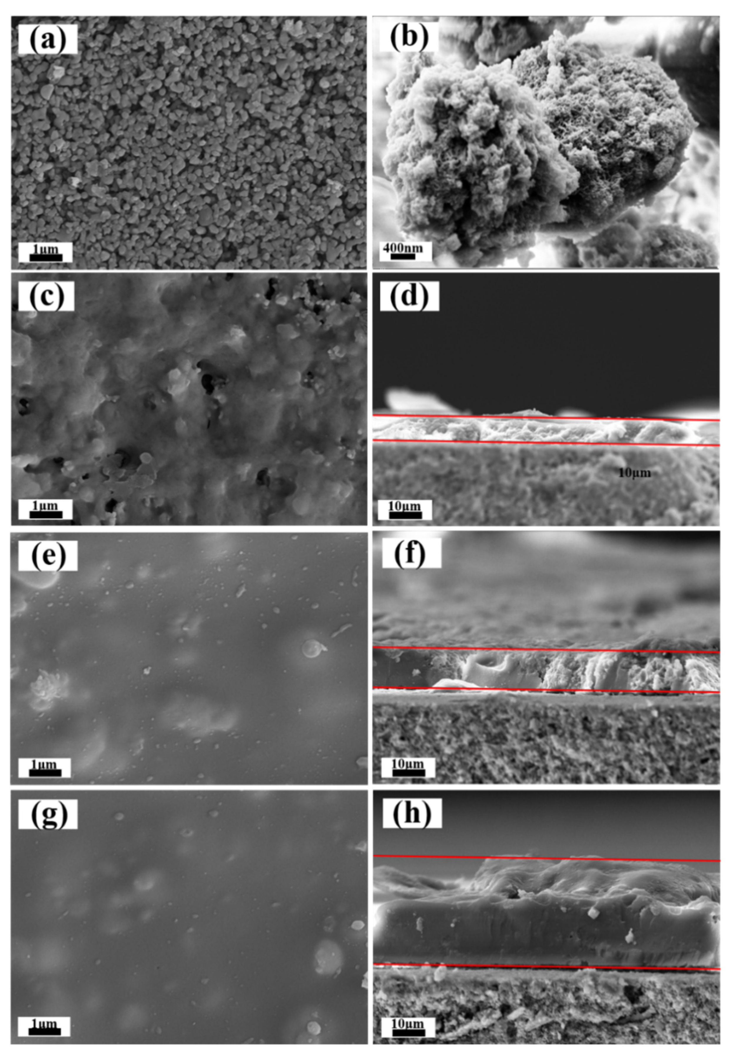 Membranes 12 00452 g004