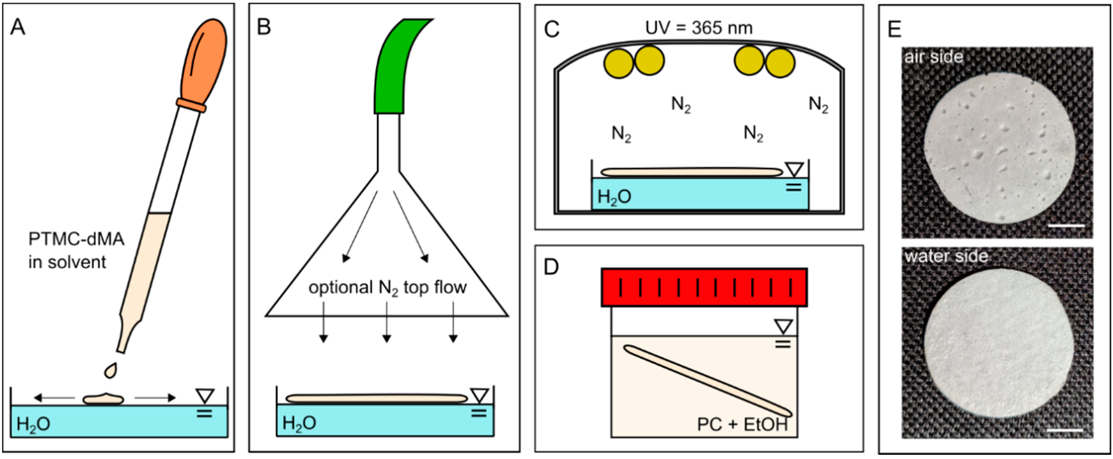 Membranes 12 00453 g001