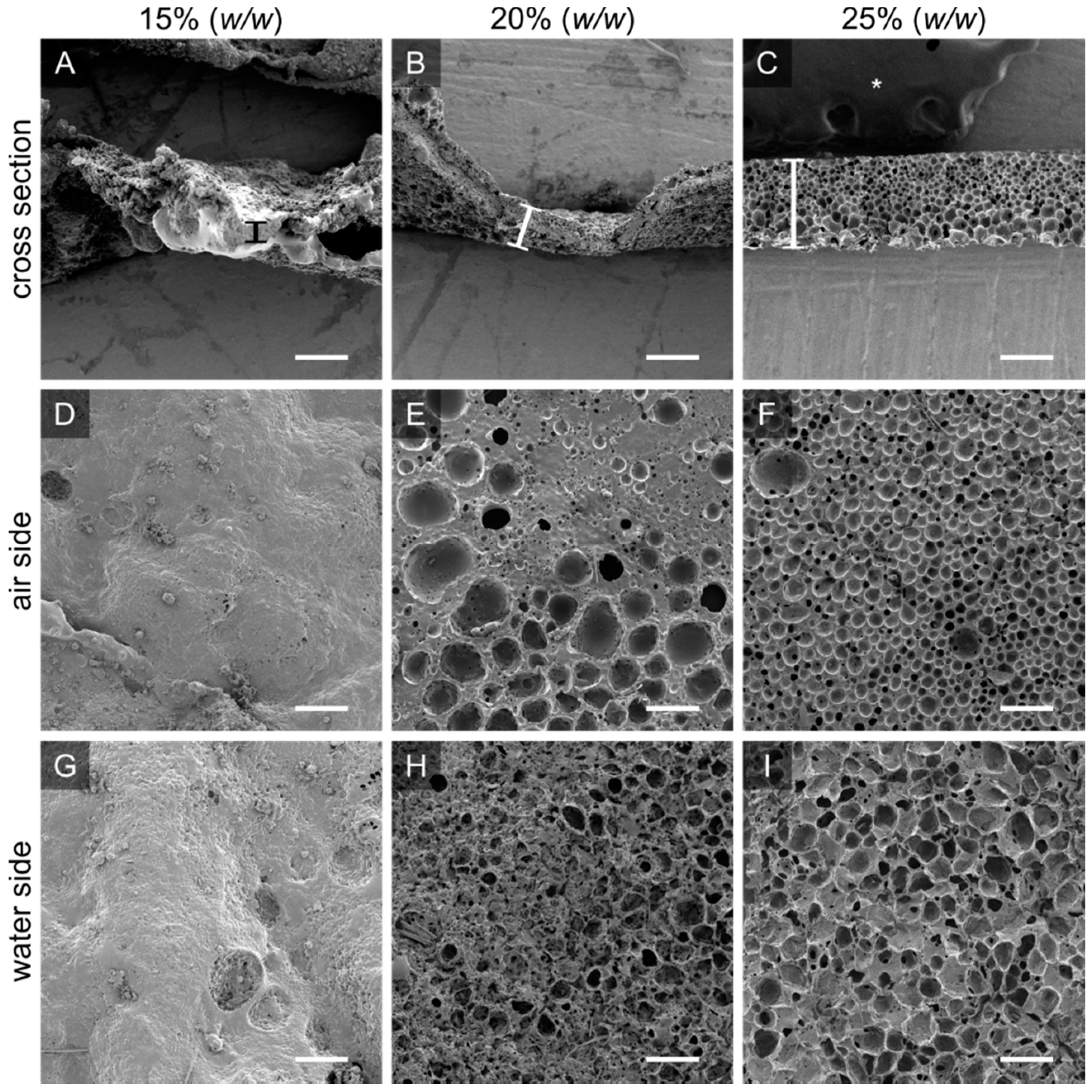Membranes 12 00453 g002