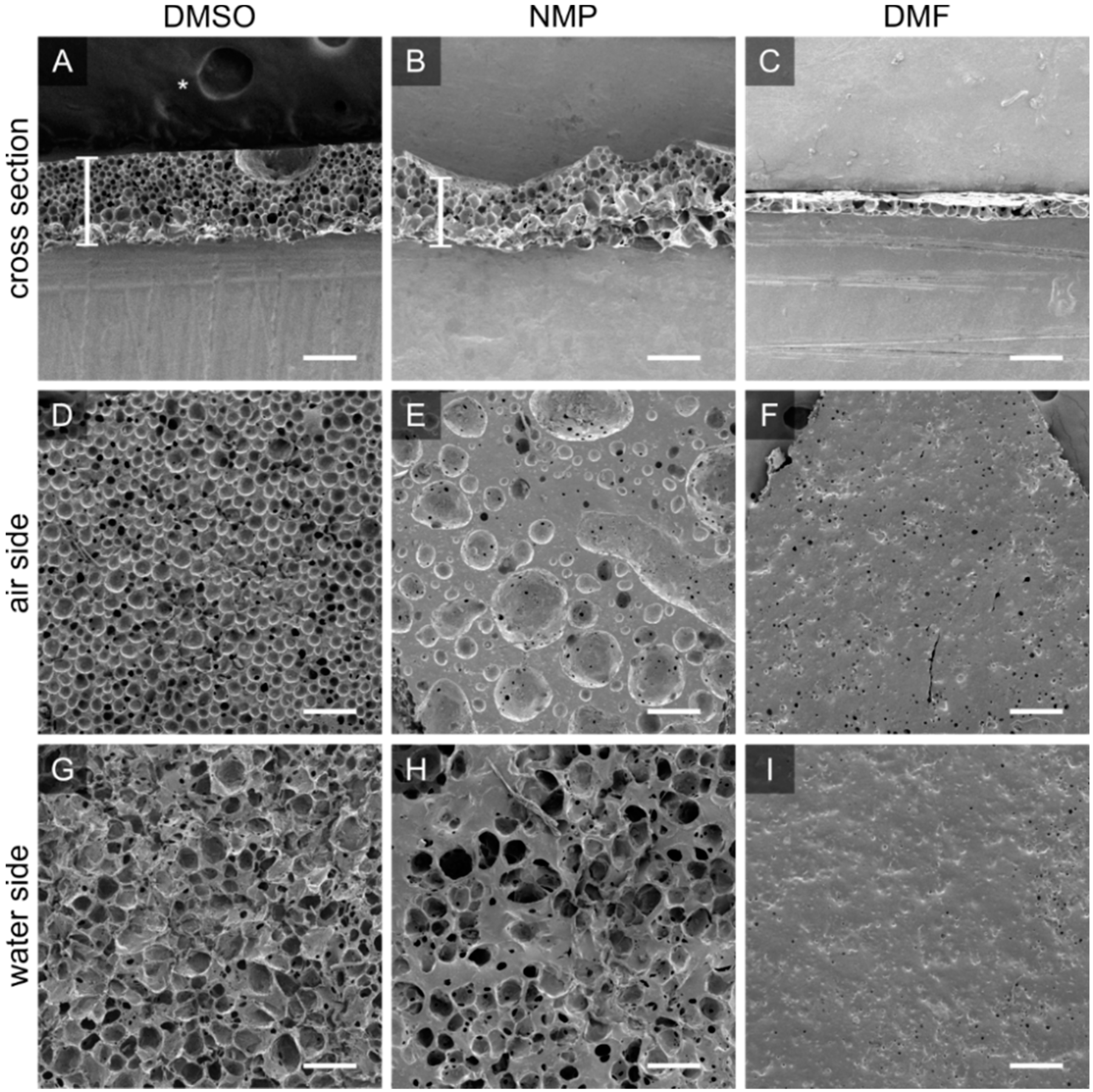 Membranes 12 00453 g003
