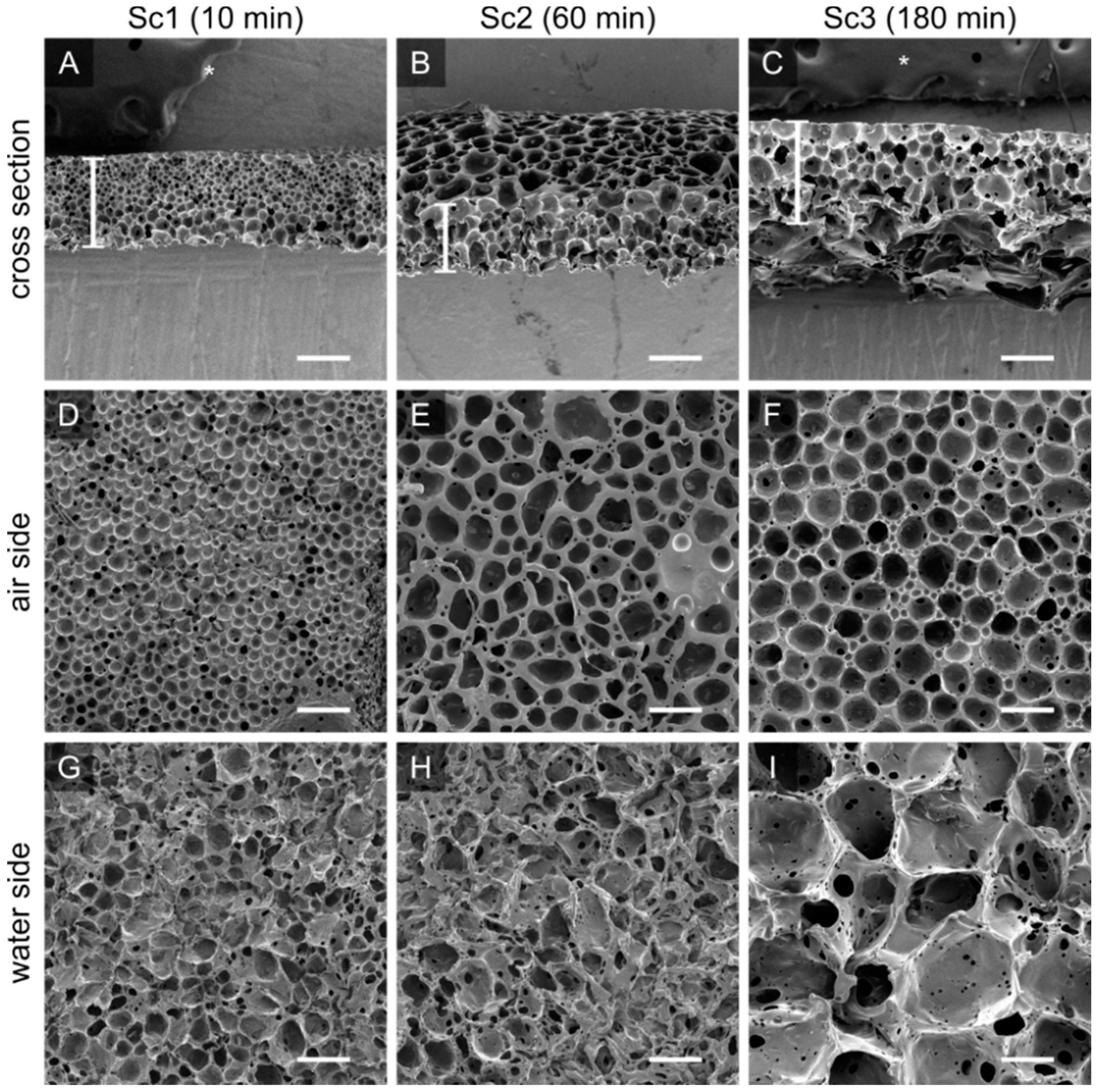 Membranes 12 00453 g004