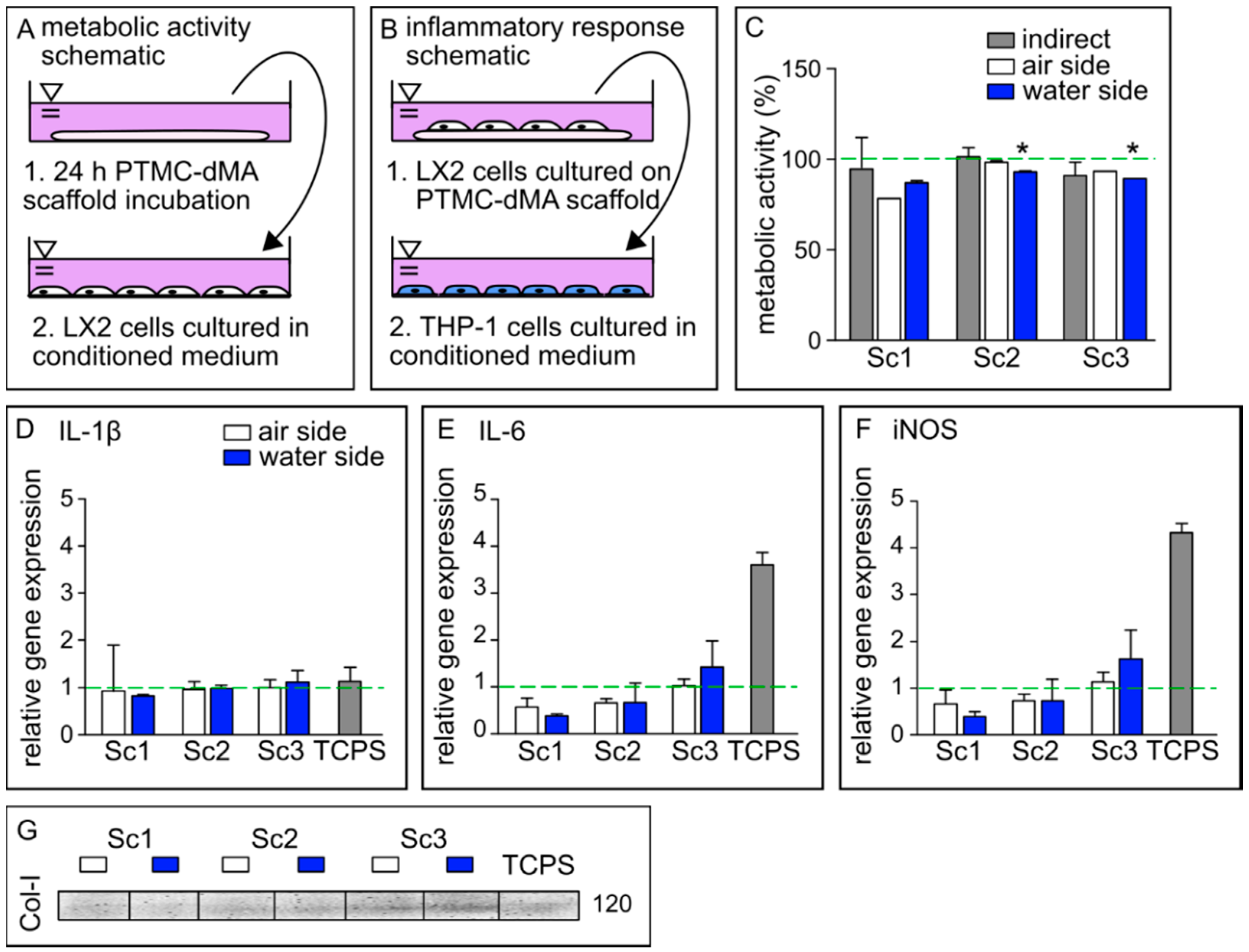 Membranes 12 00453 g005