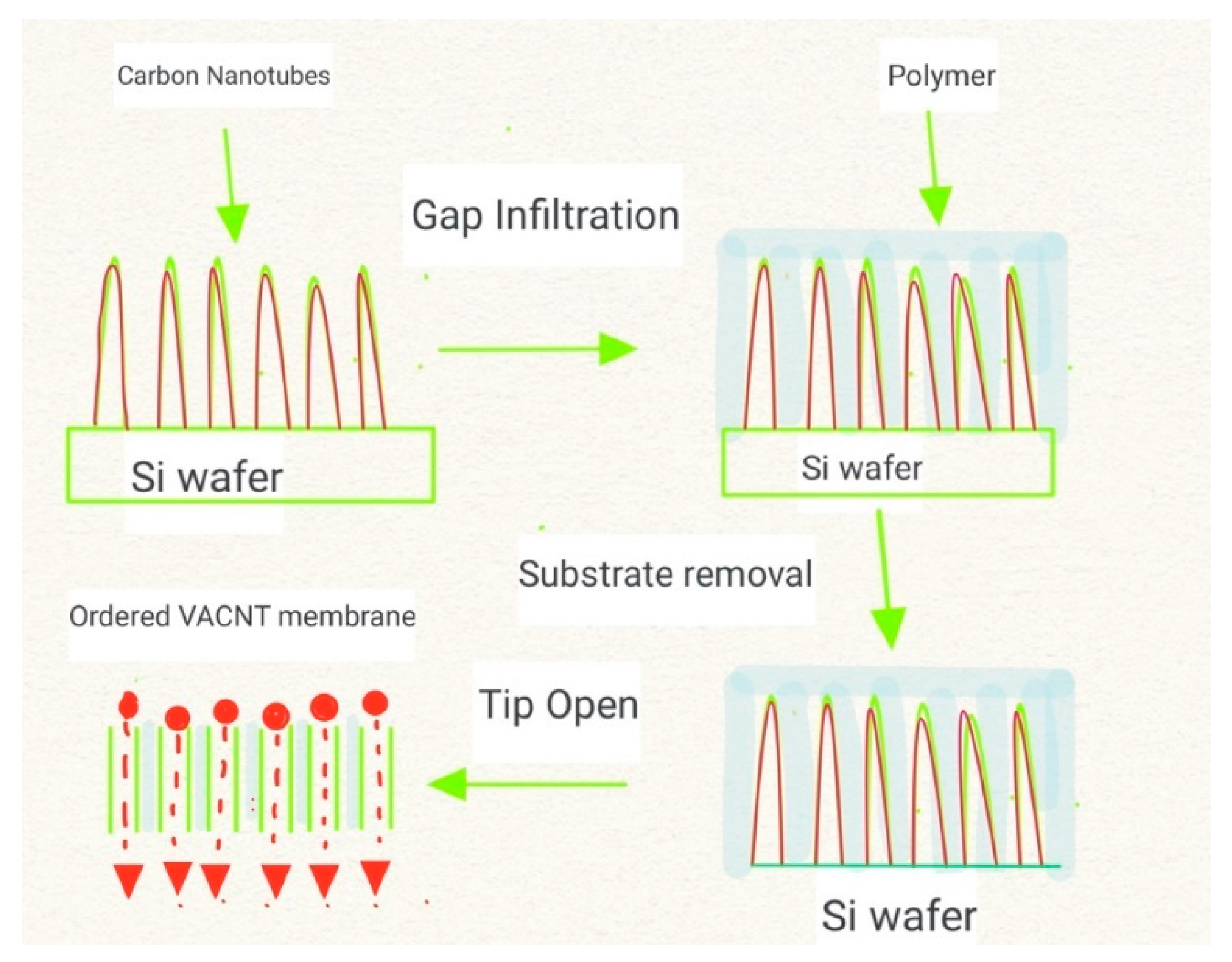 Membranes 12 00454 g001 550