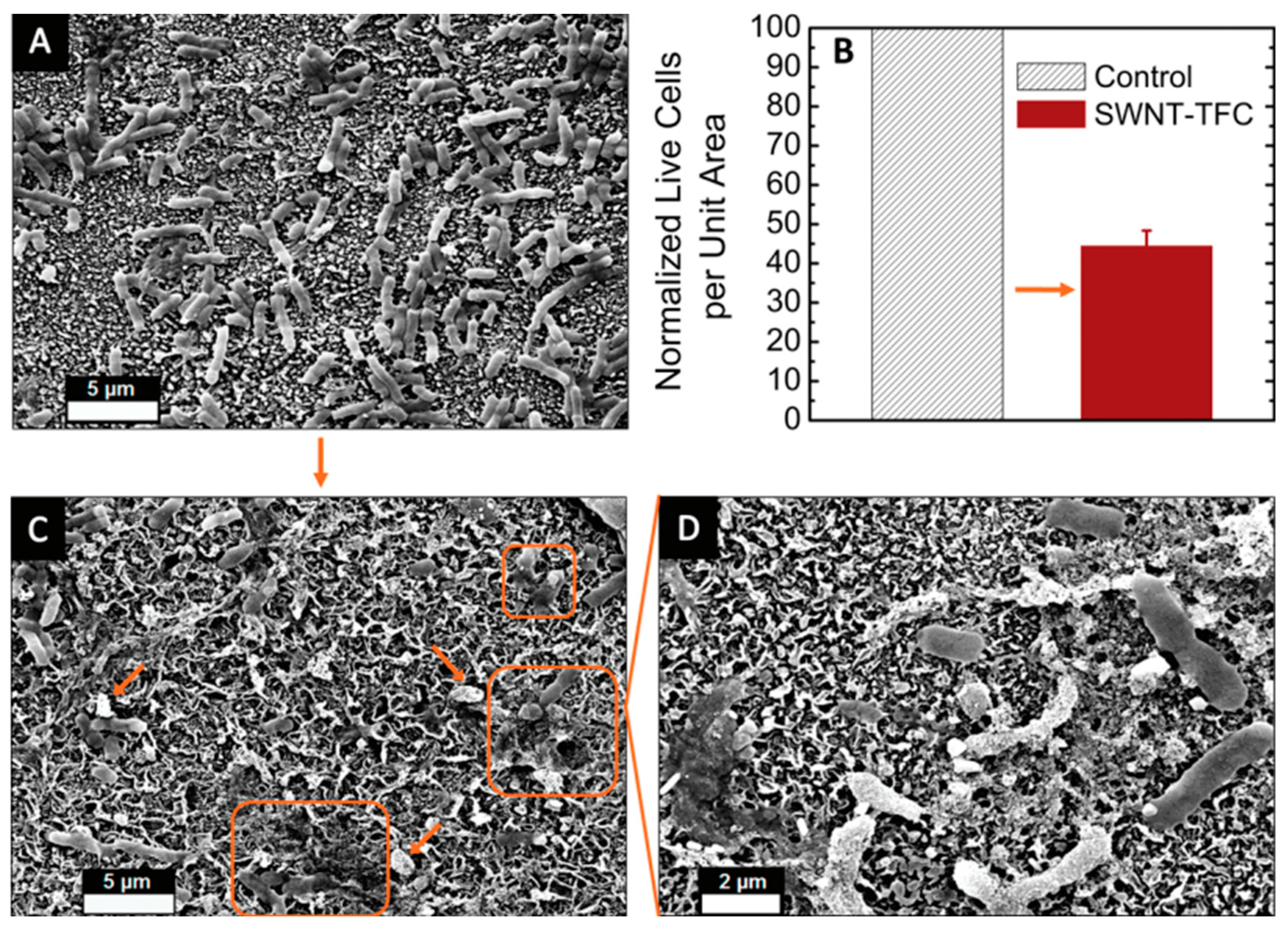 Membranes 12 00454 g004 550