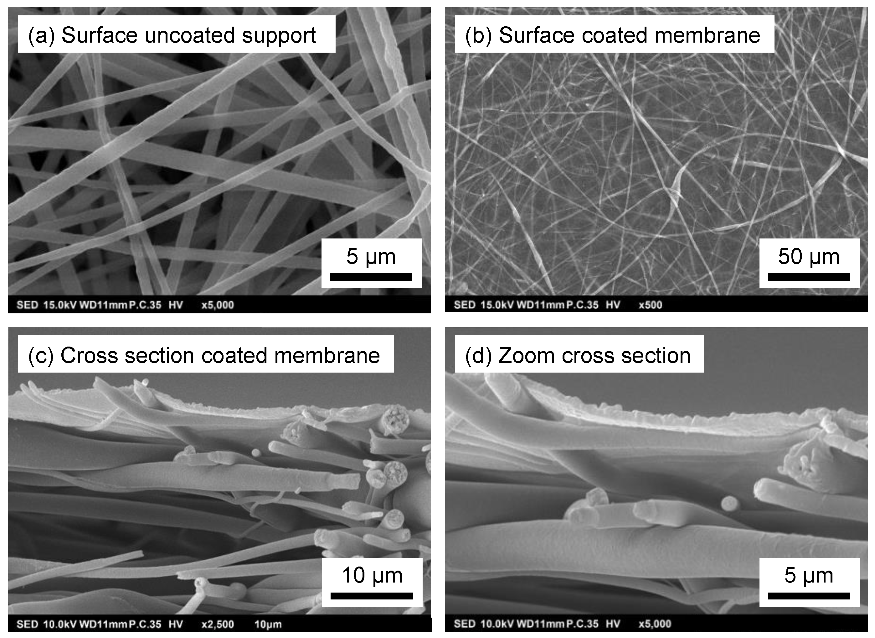 Membranes 12 00456 g005