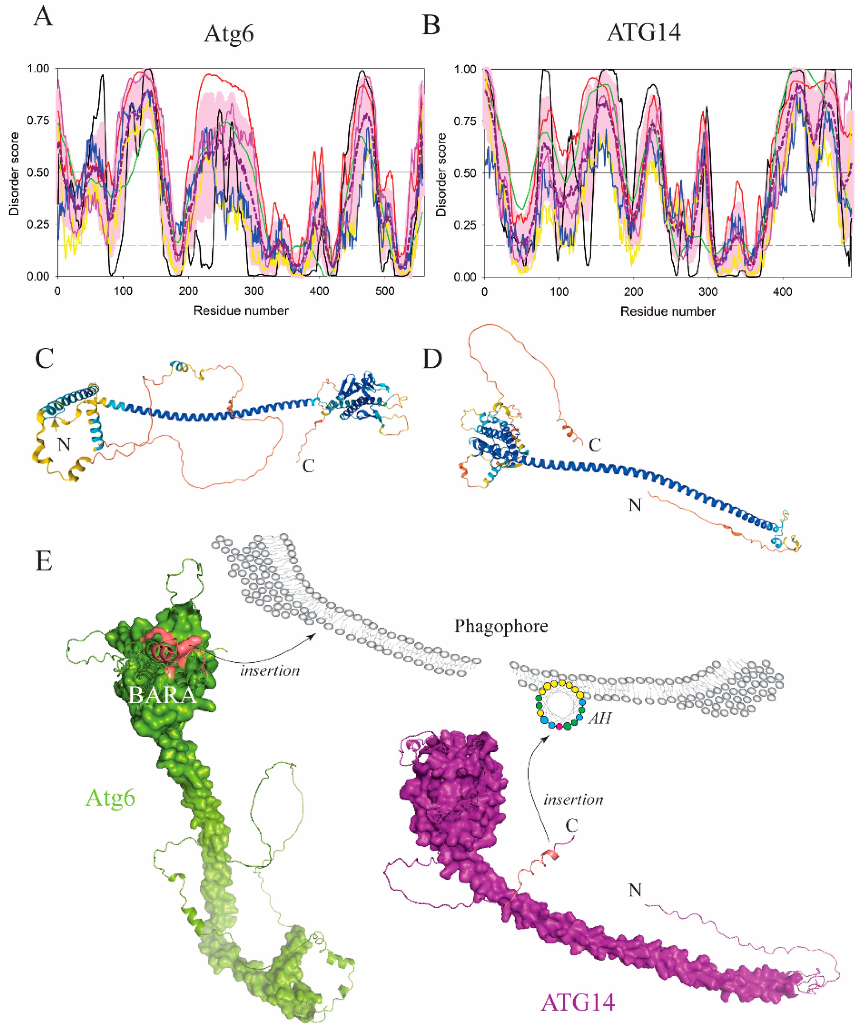 Membranes 12 00457 g002