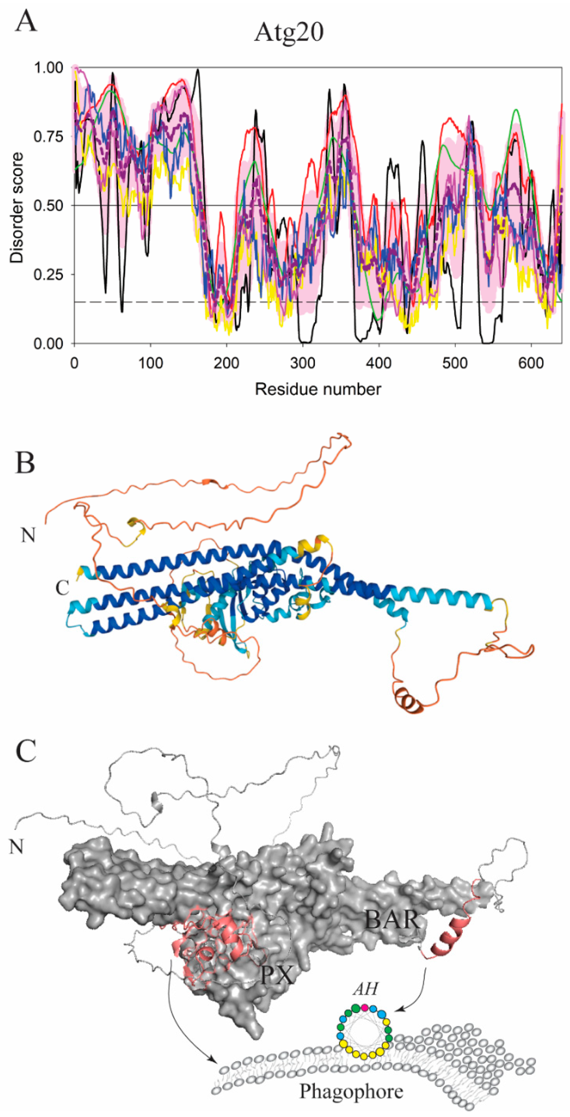 Membranes 12 00457 g003