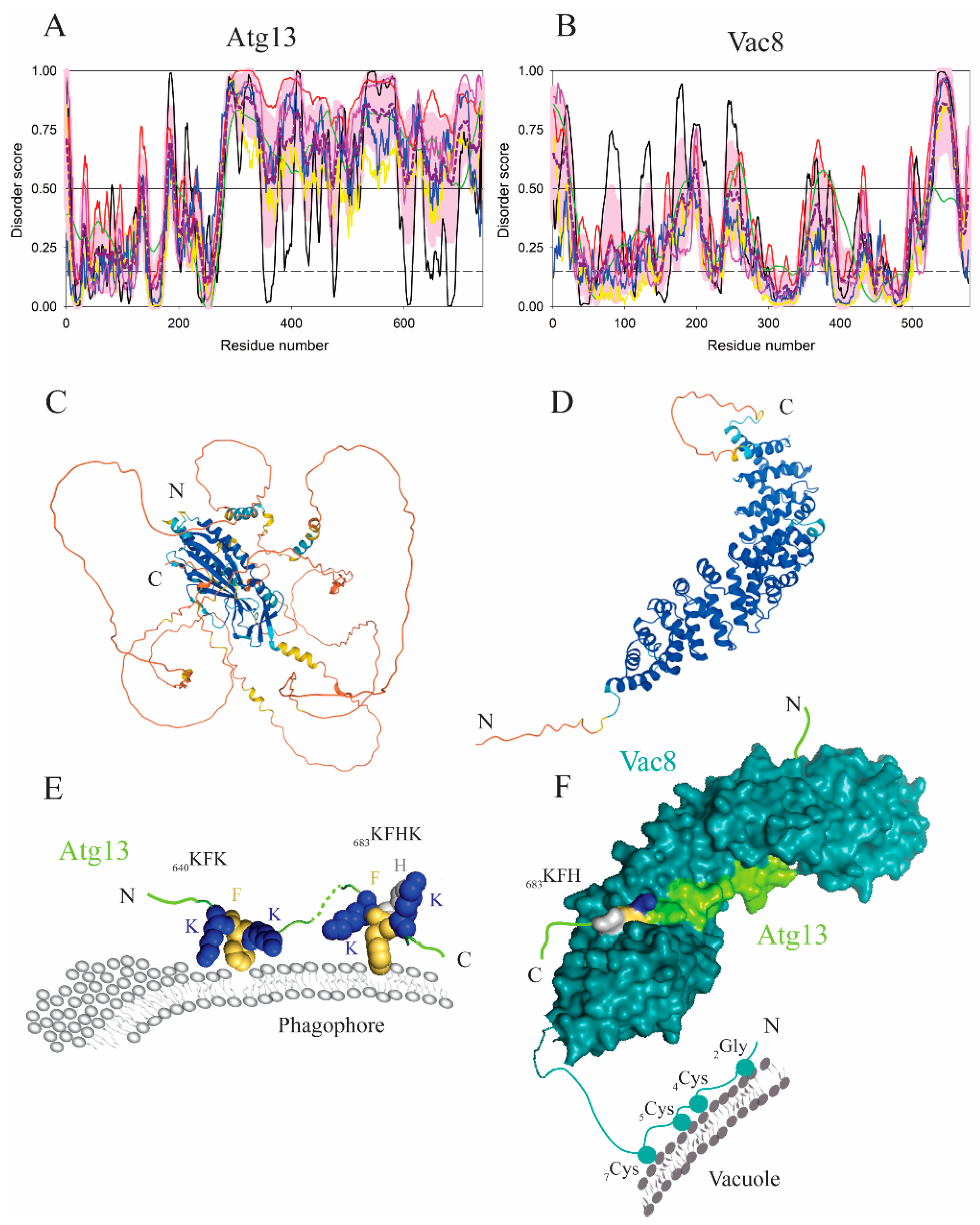 Membranes 12 00457 g004