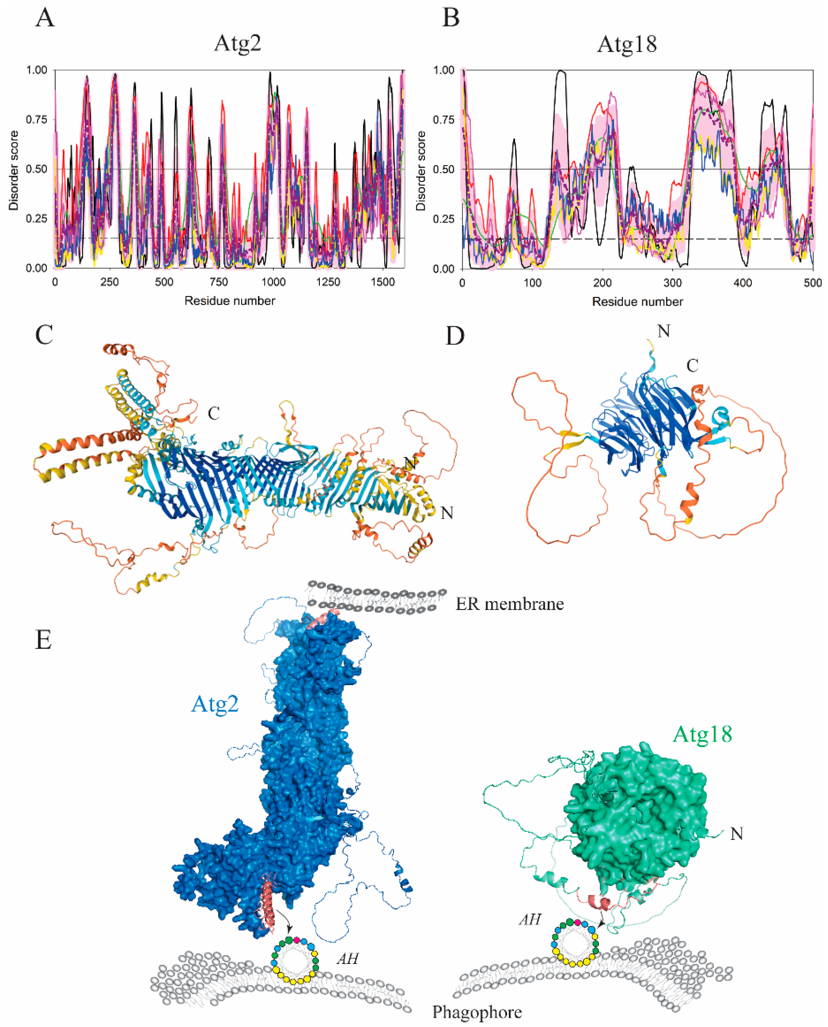 Membranes 12 00457 g005