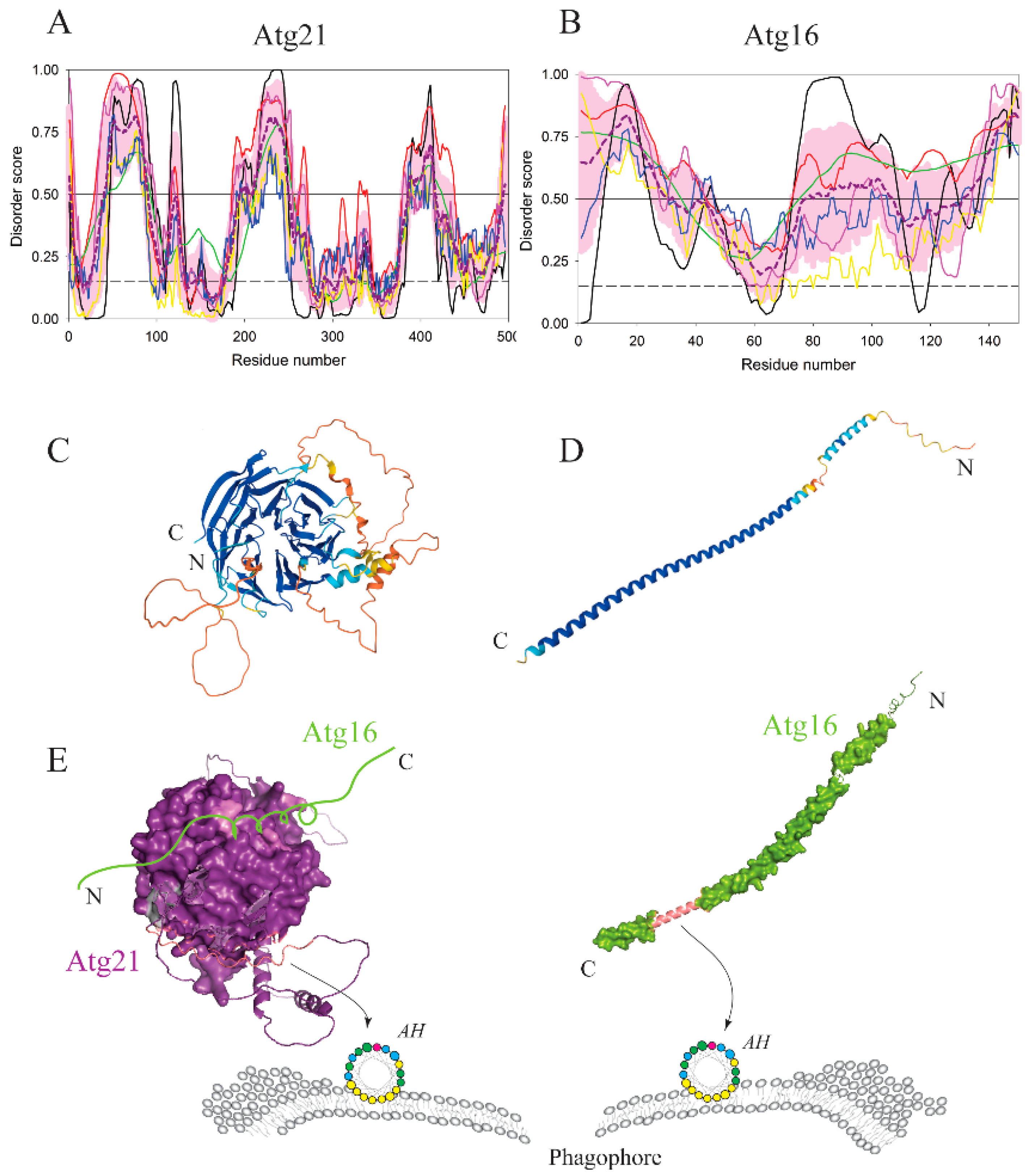 Membranes 12 00457 g006