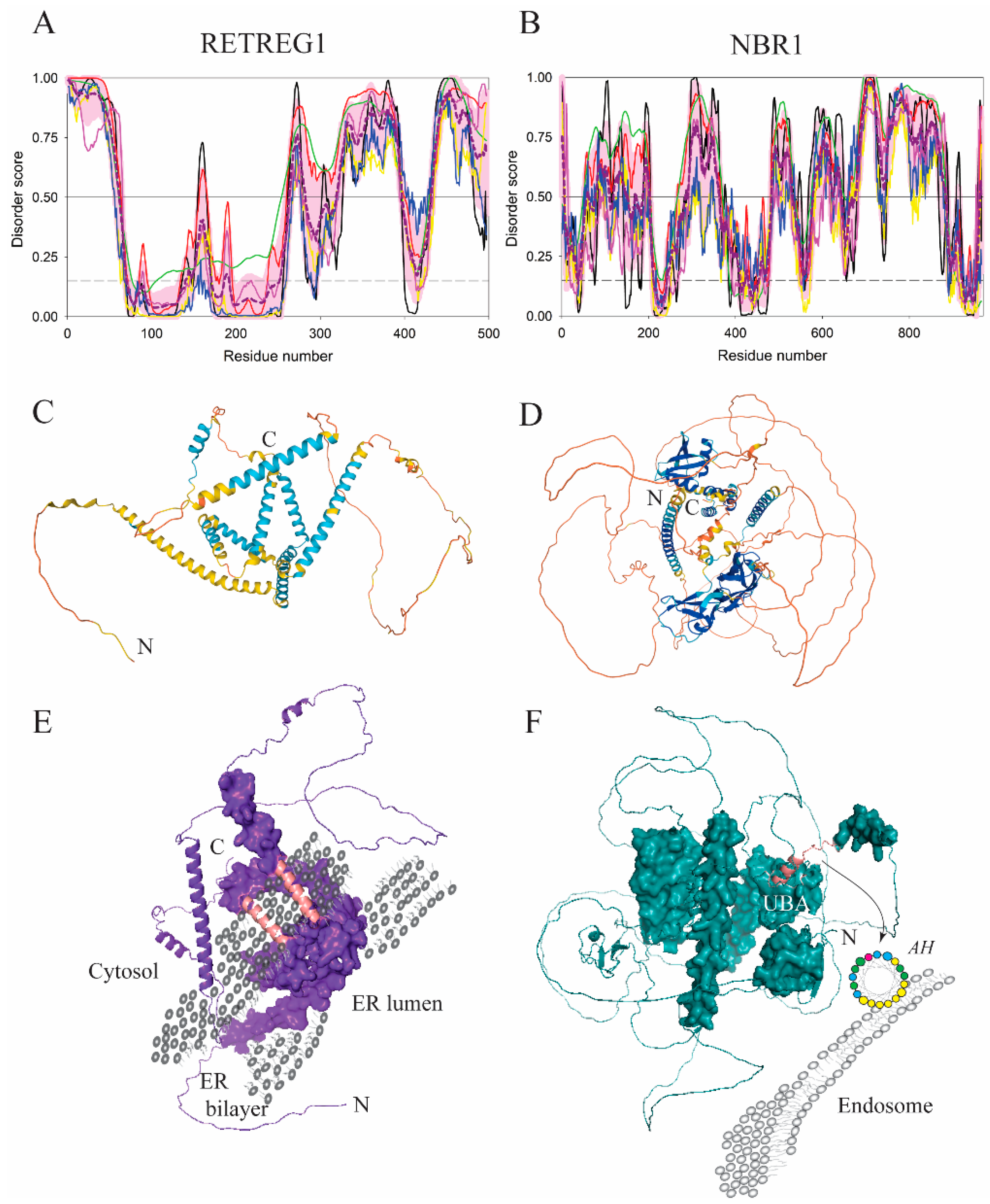 Membranes 12 00457 g008
