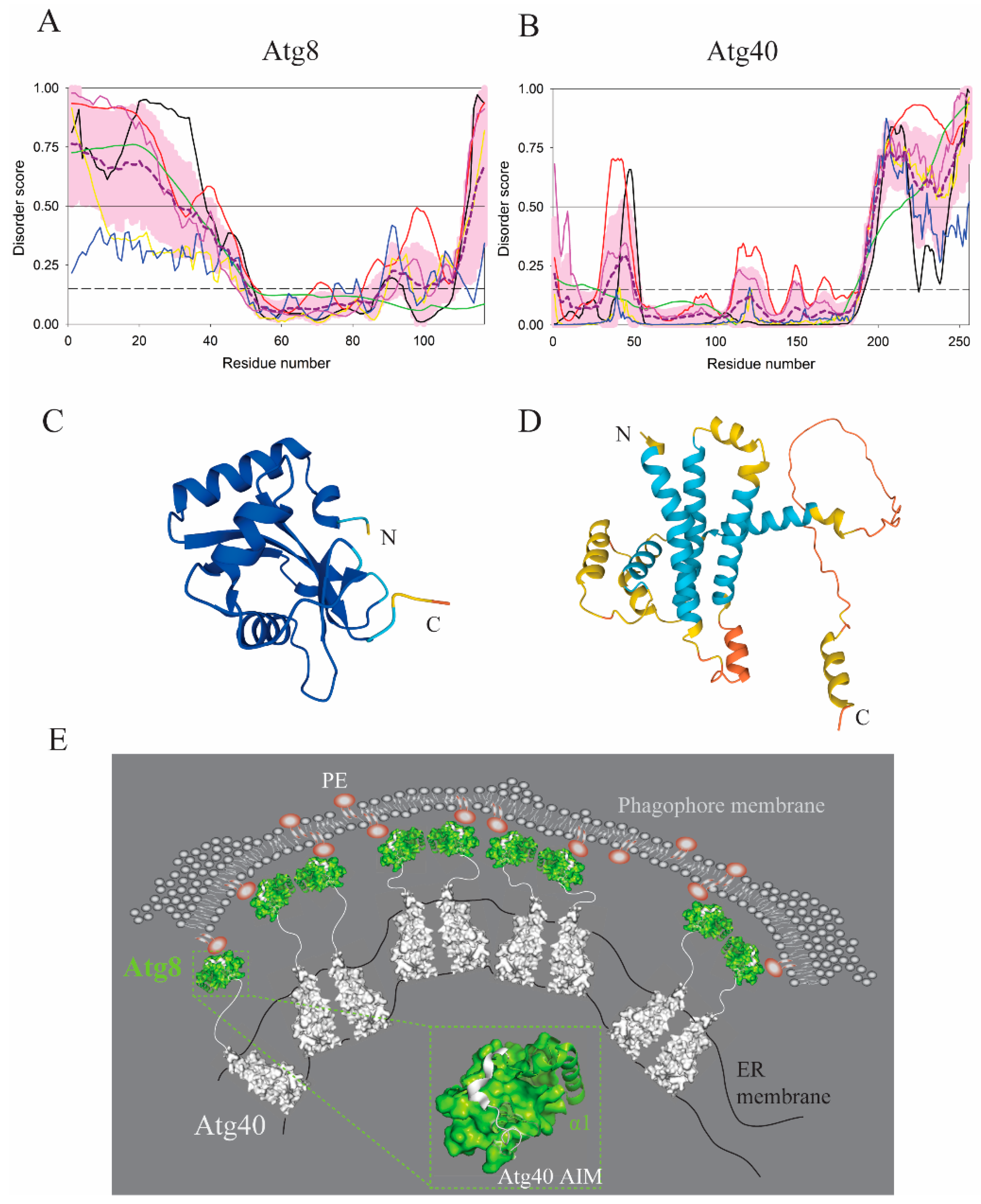 Membranes 12 00457 g009