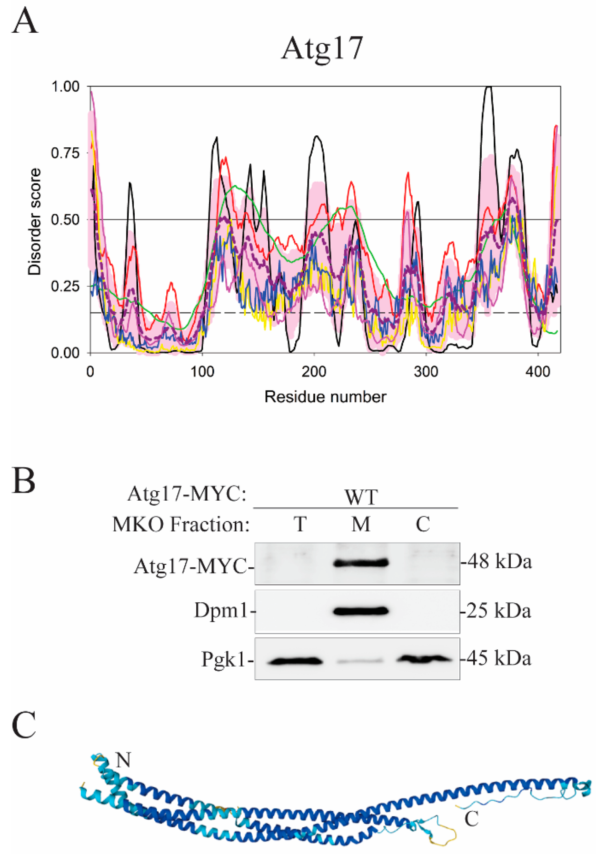 Membranes 12 00457 g010