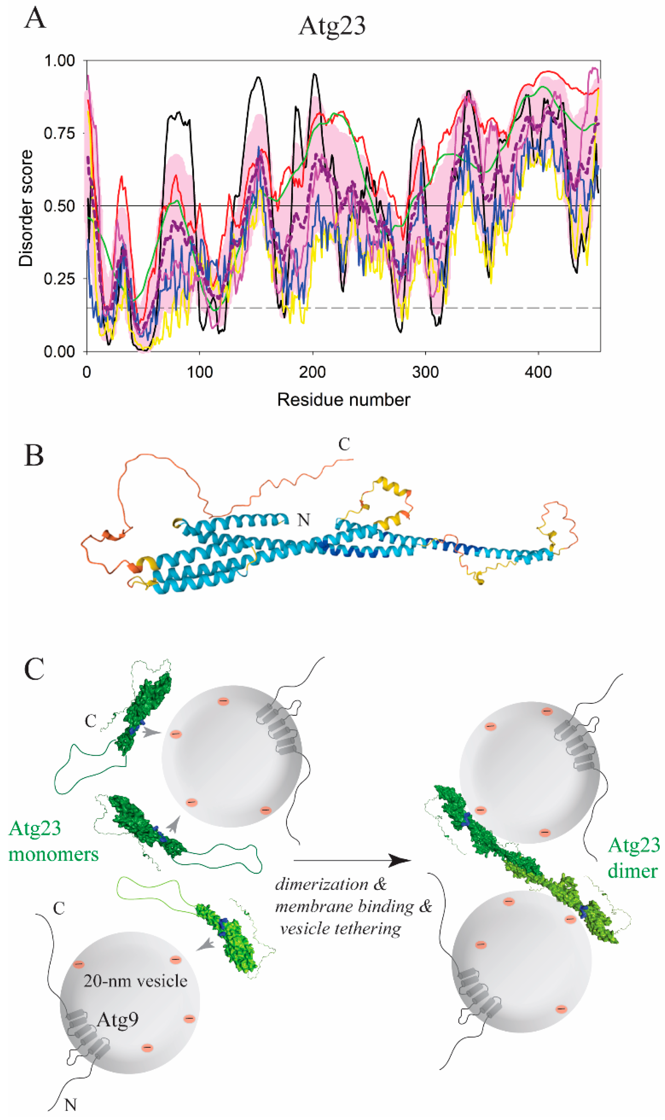 Membranes 12 00457 g011
