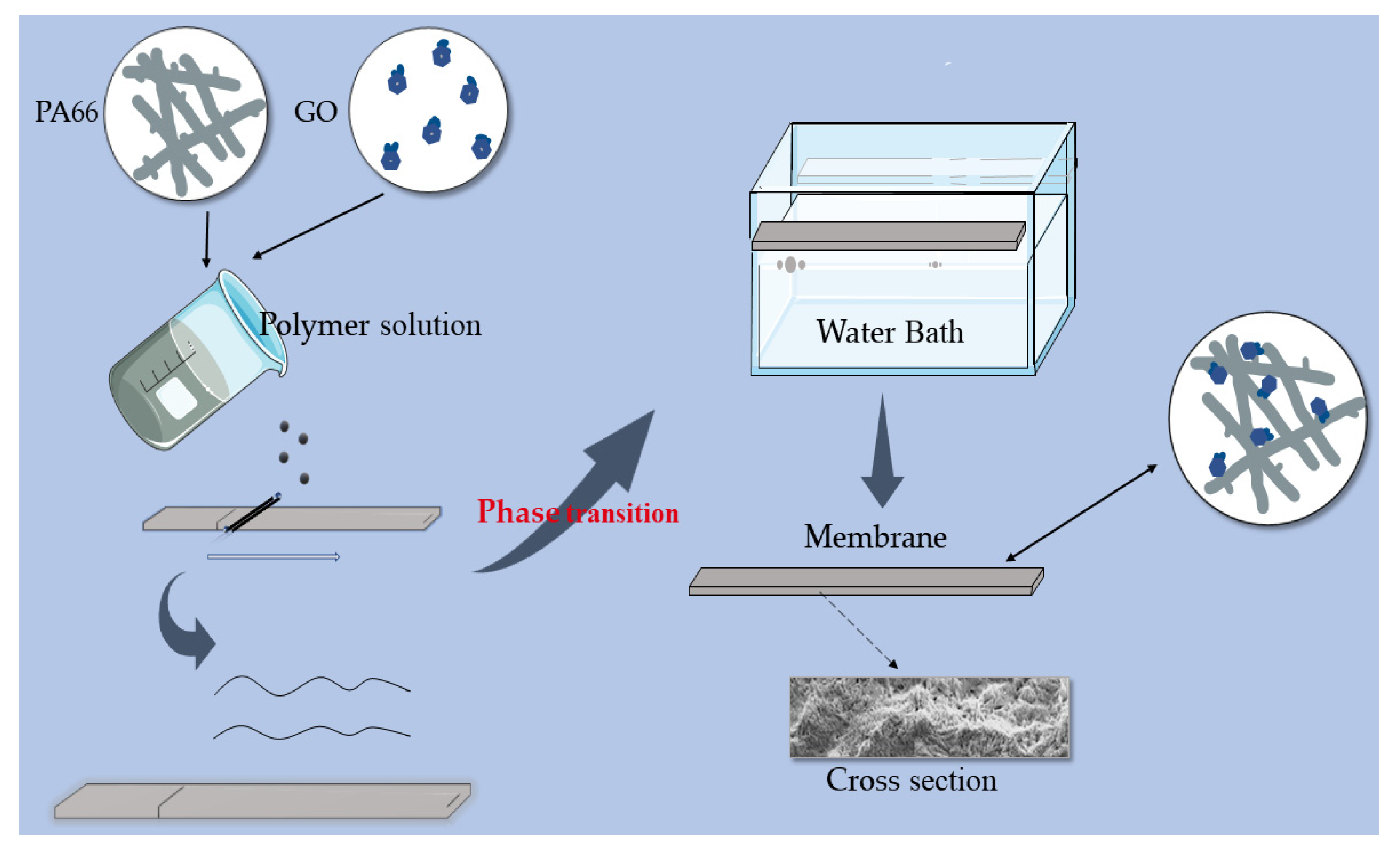 Membranes 12 00458 g001 550