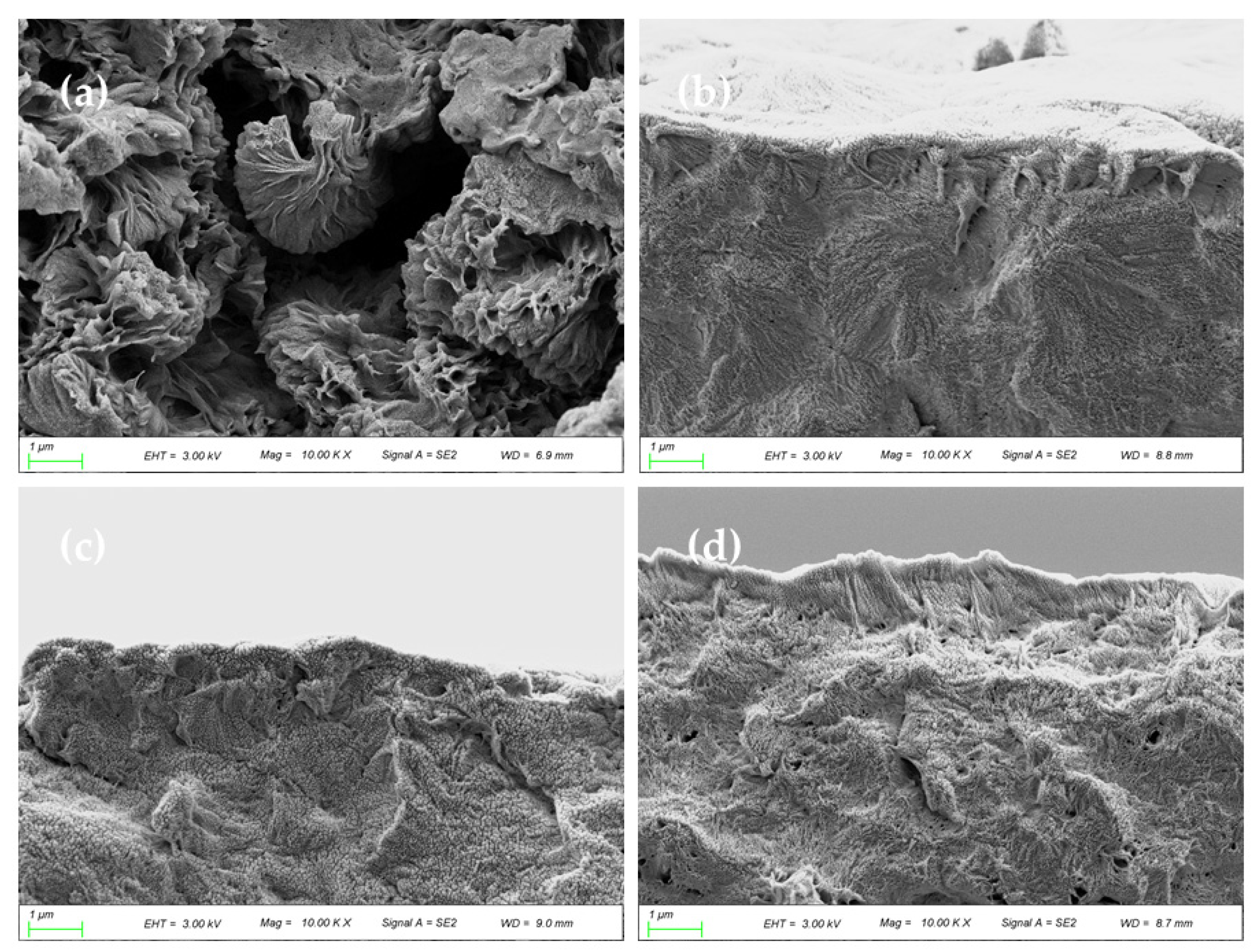 Membranes 12 00458 g010 550