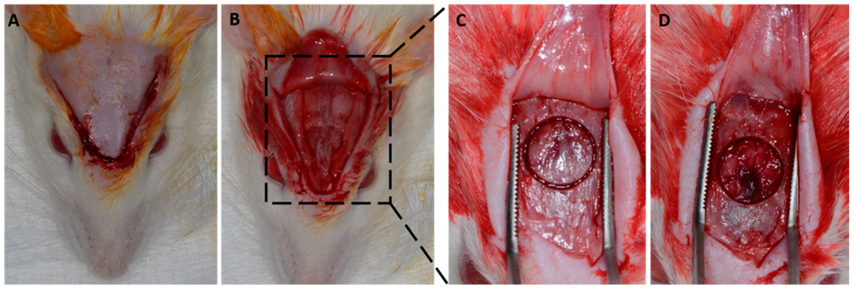 Membranes 12 00461 g001