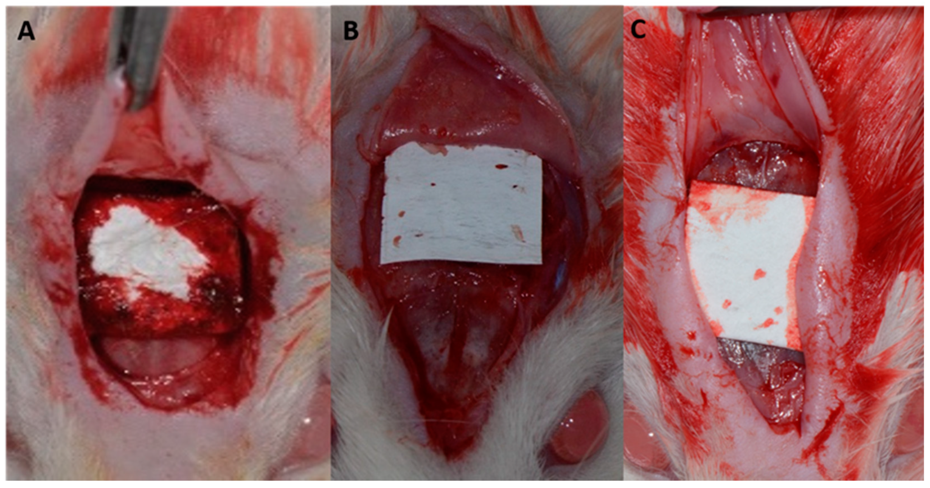 Membranes 12 00461 g002