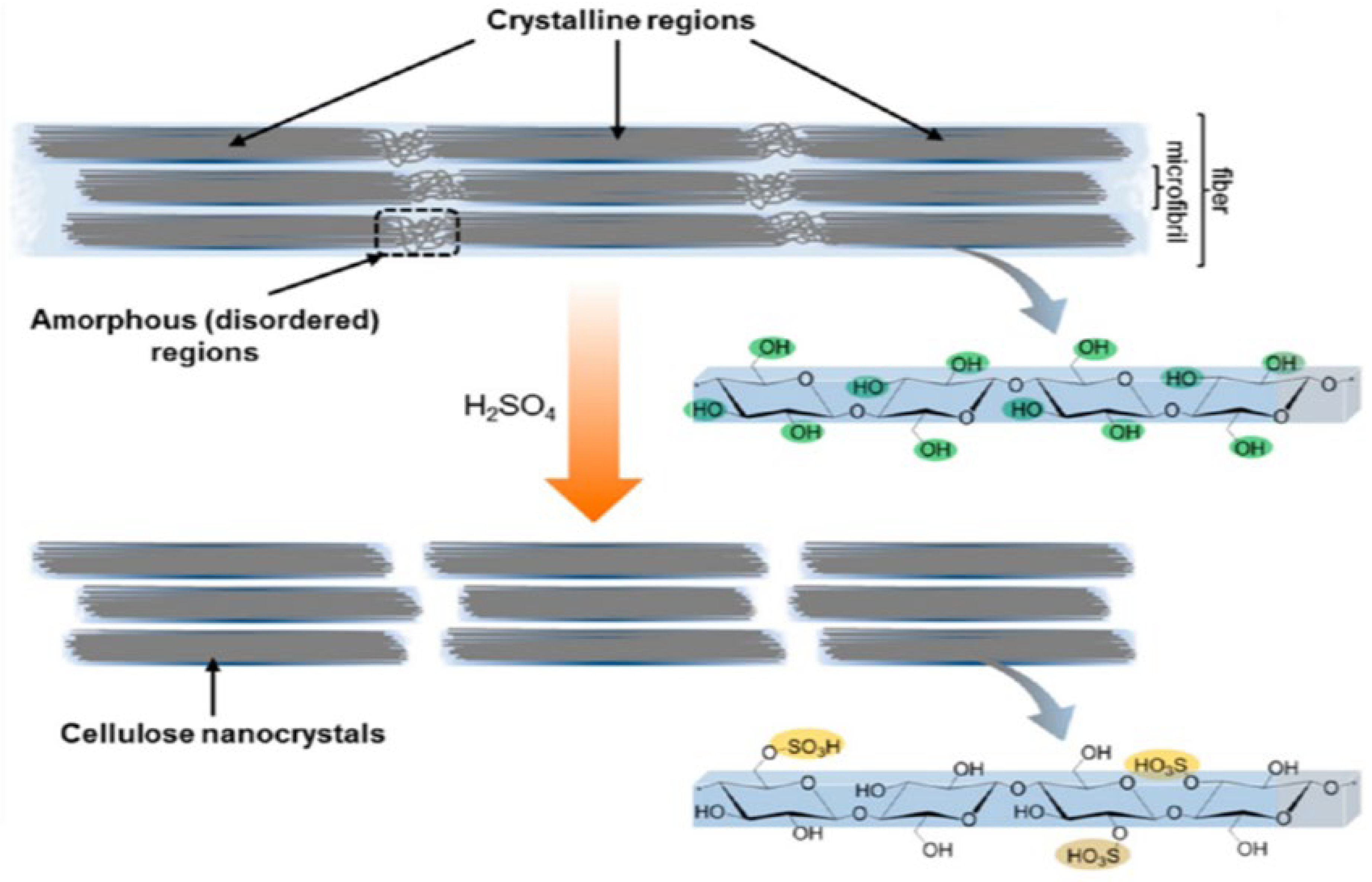 Membranes 12 00462 g004 Membranes 12 00462 g004