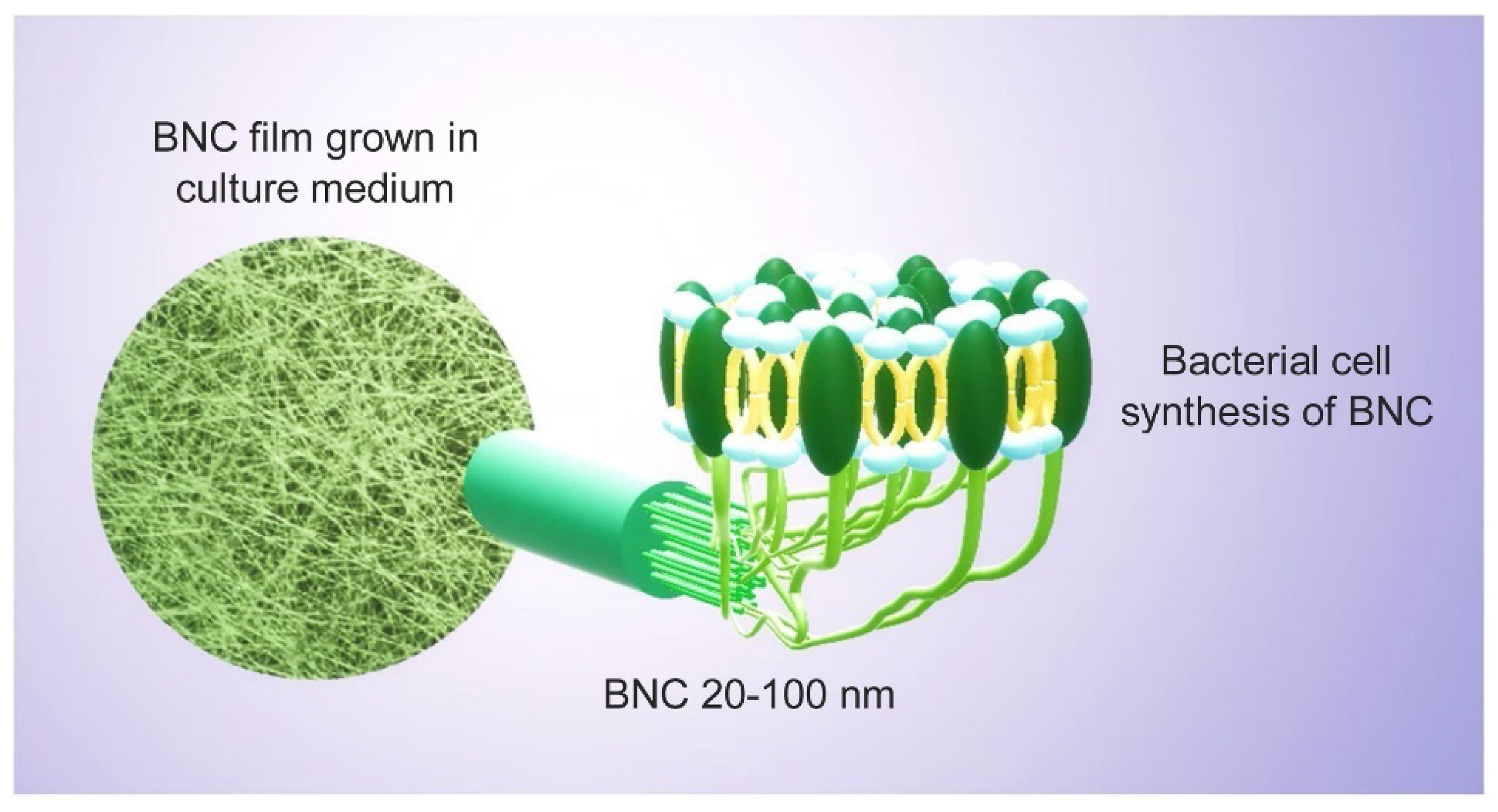 Membranes 12 00462 g009 Membranes 12 00462 g009