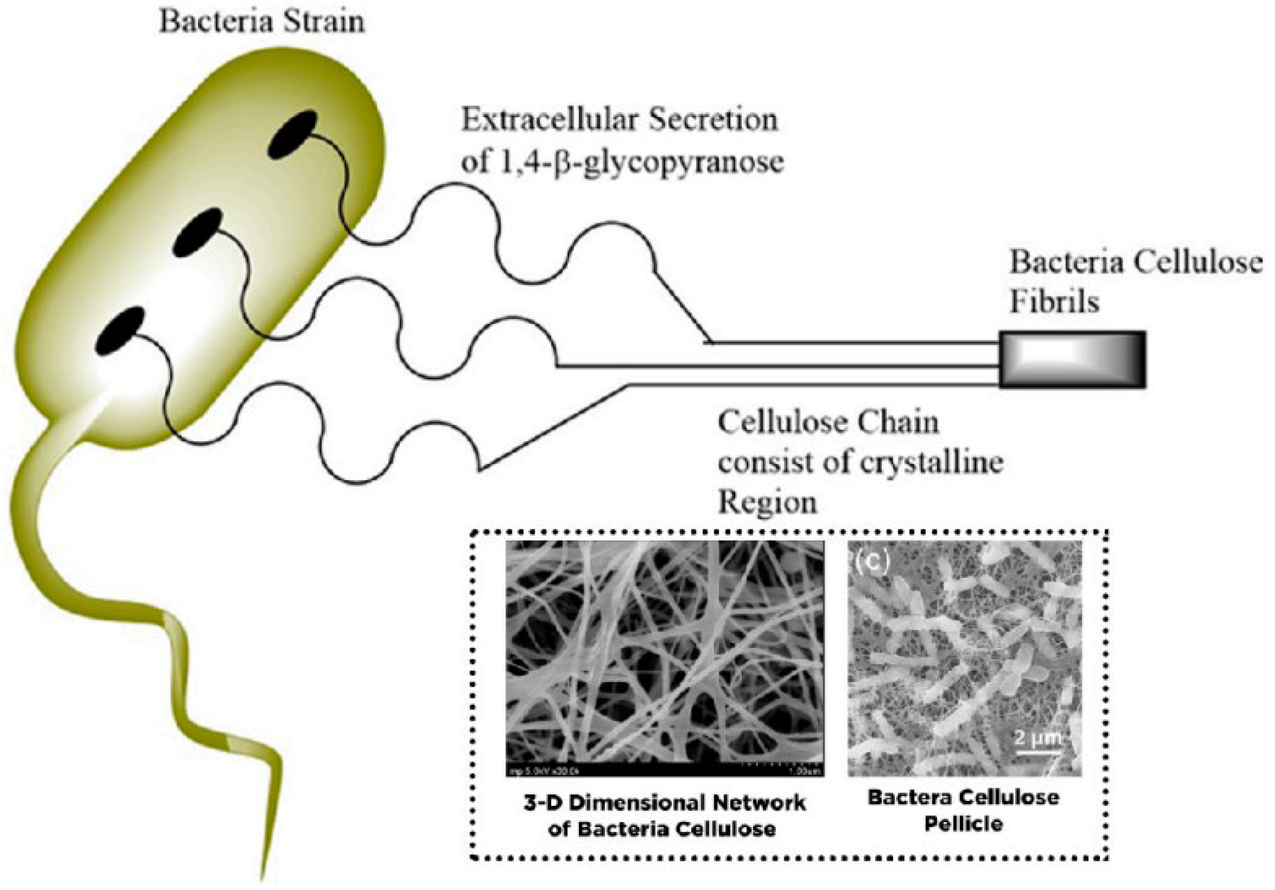 Membranes 12 00462 g010 Membranes 12 00462 g010