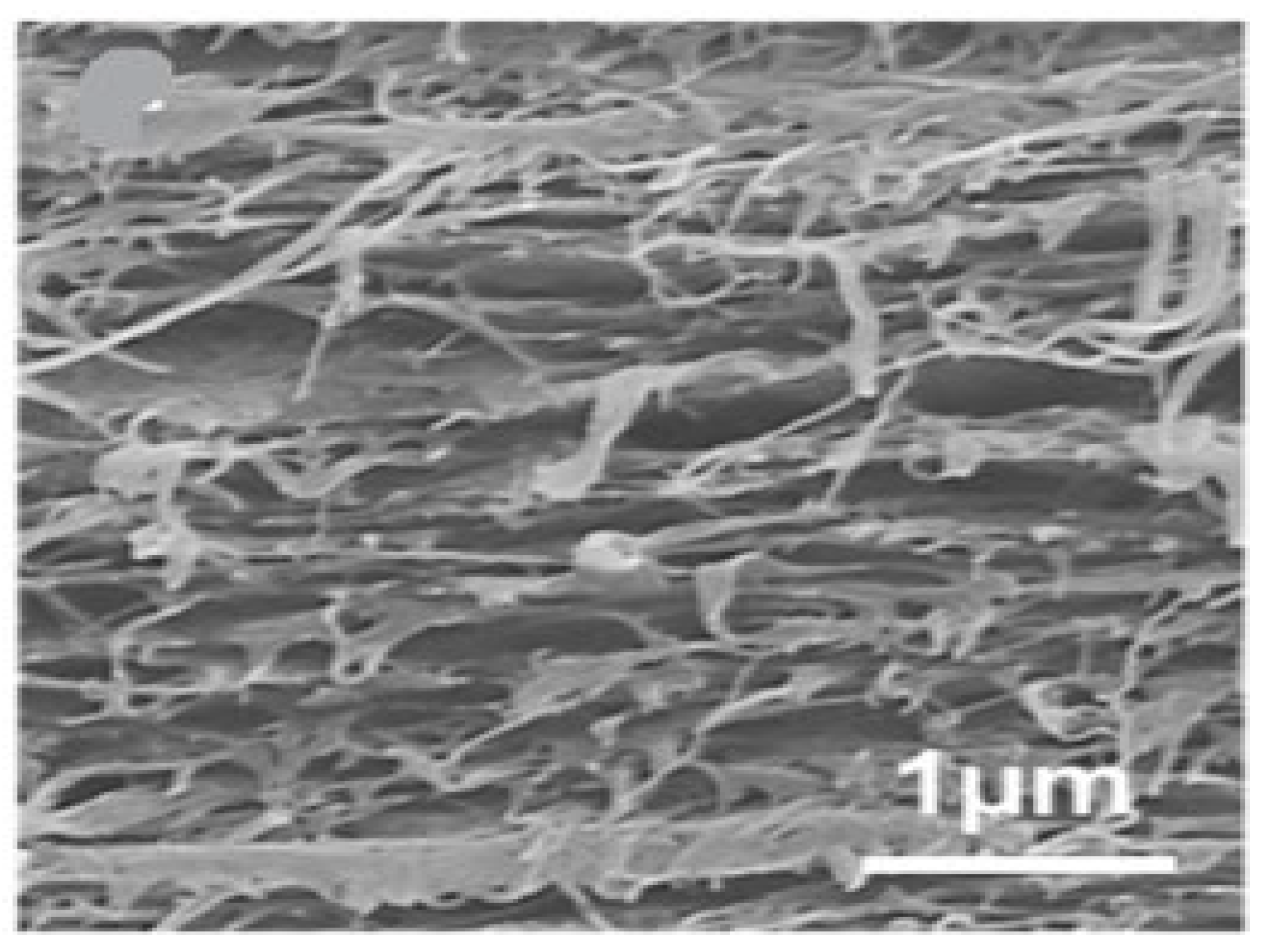 Membranes 12 00462 g011 Membranes 12 00462 g011