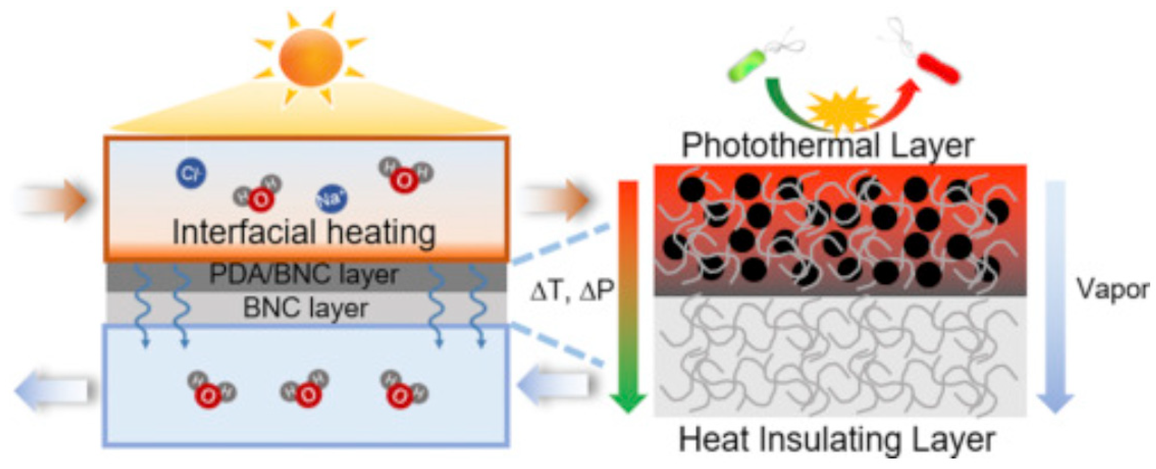 Membranes 12 00462 g012 Membranes 12 00462 g012