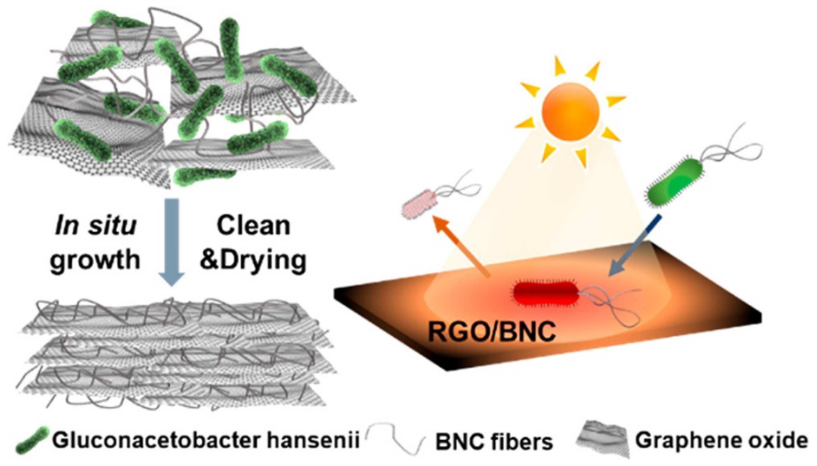 Membranes 12 00462 g013 Membranes 12 00462 g013