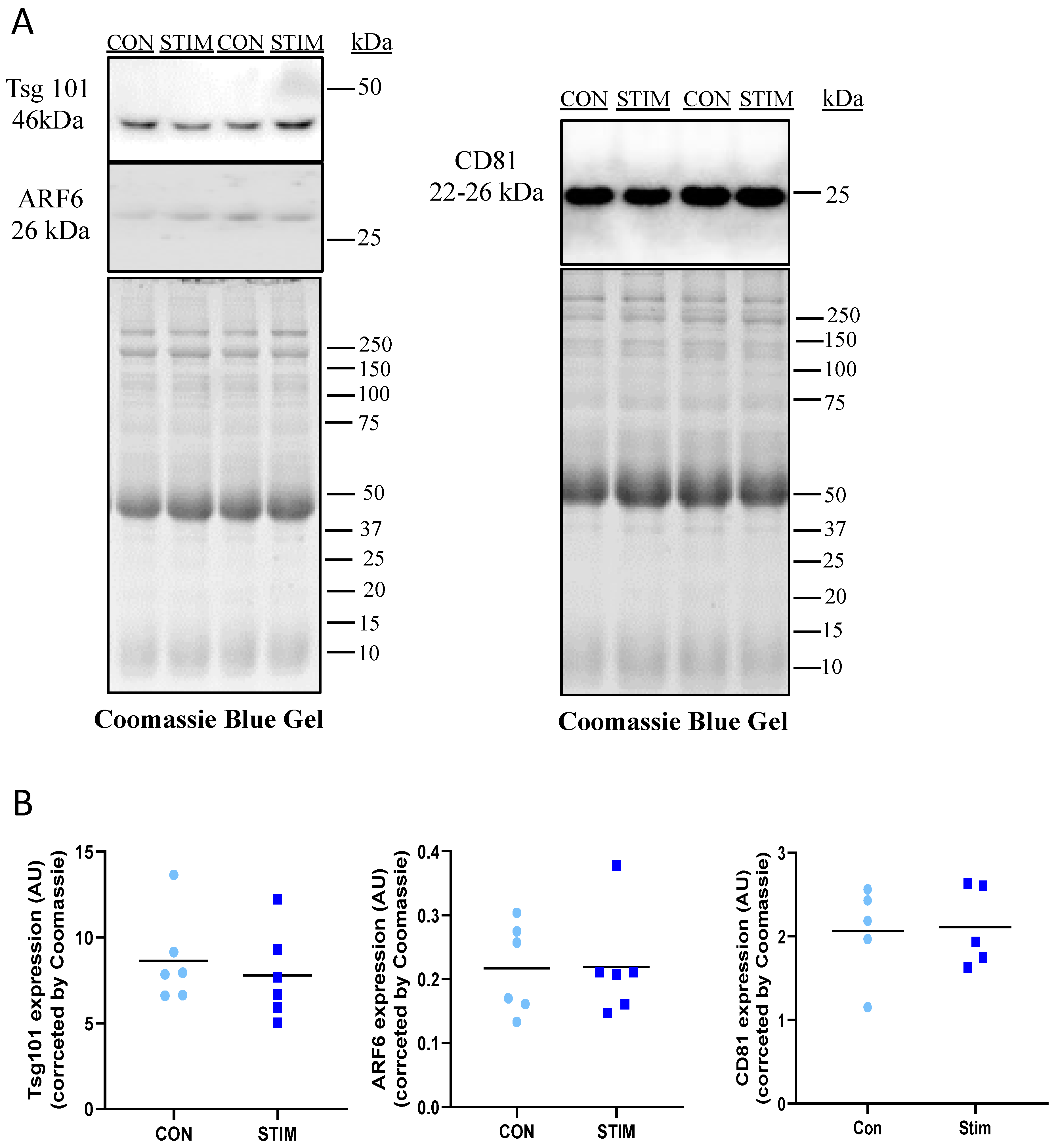 Membranes 12 00464 g005