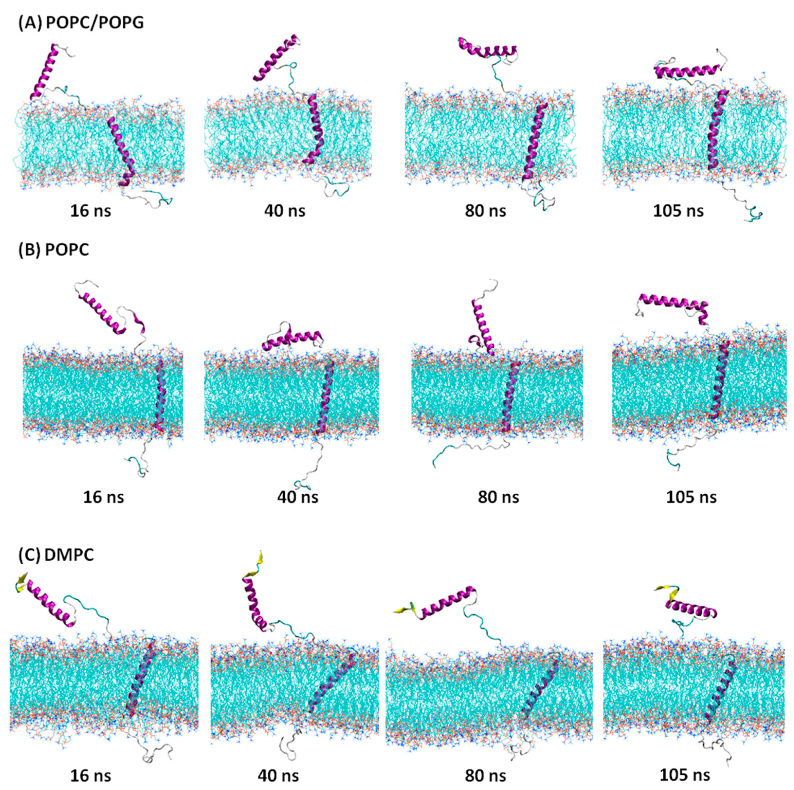 Membranes 12 00469 g002 550