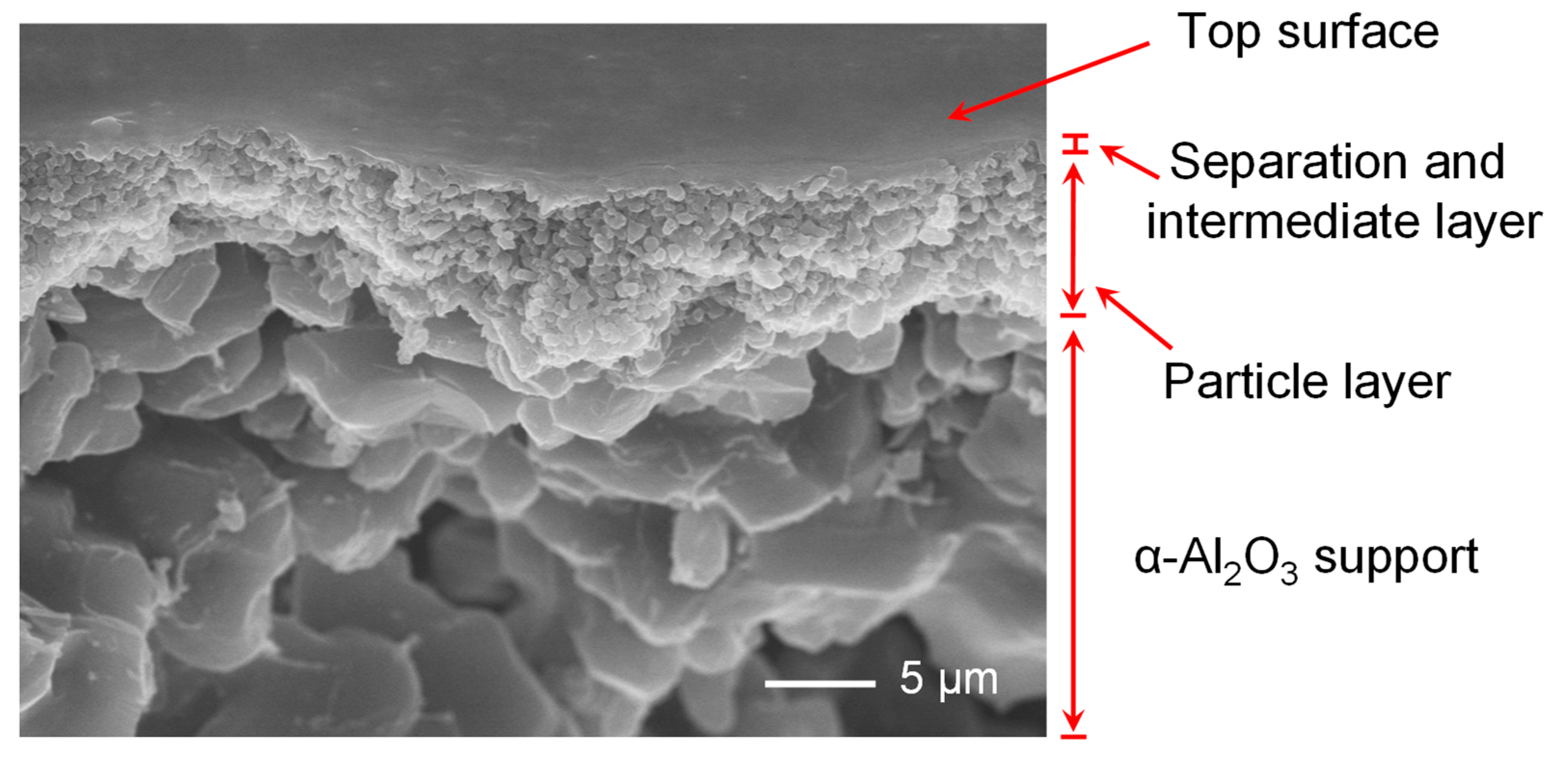 Membranes 12 00470 g004