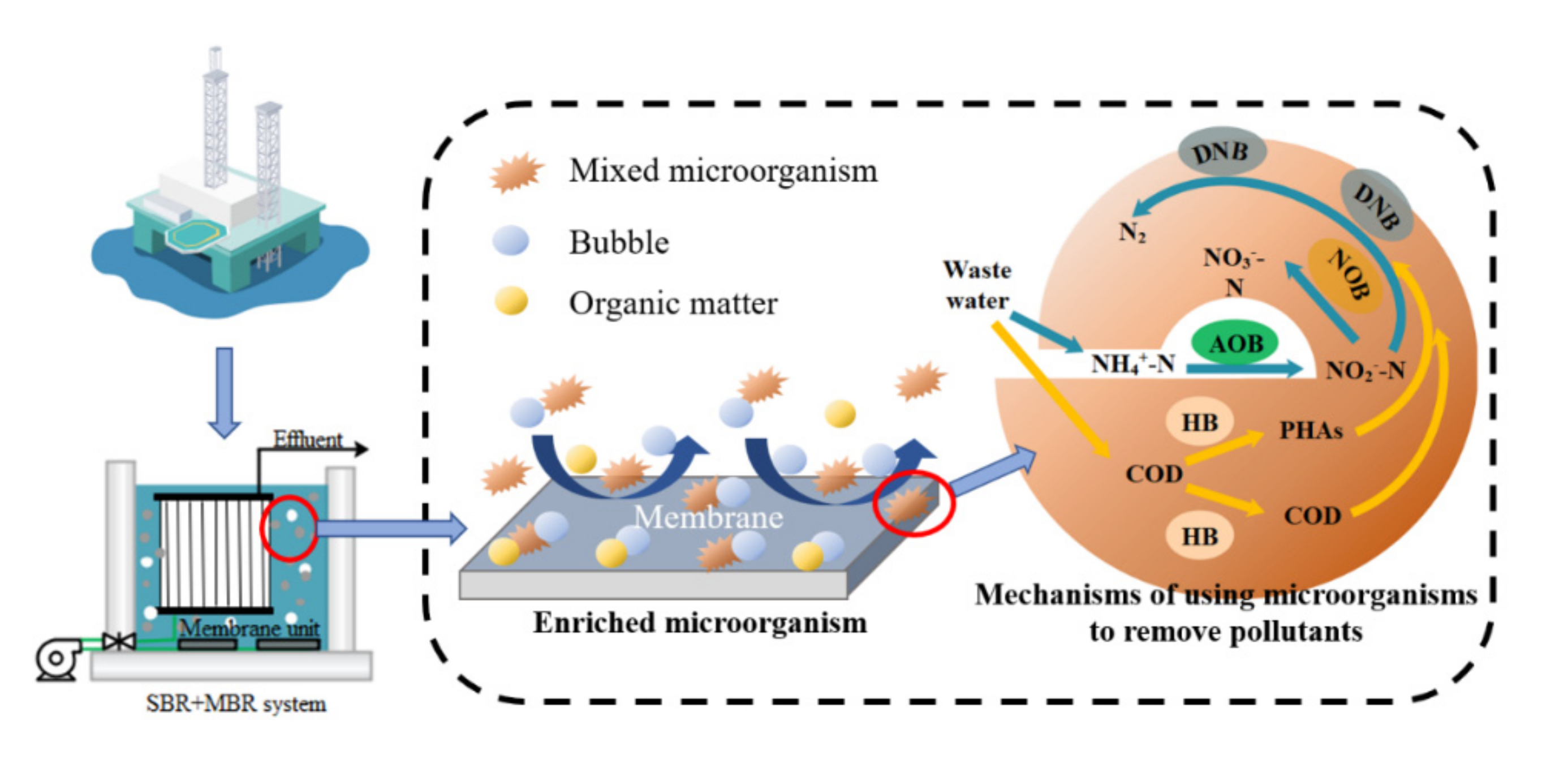 Membranes 12 00473 g005