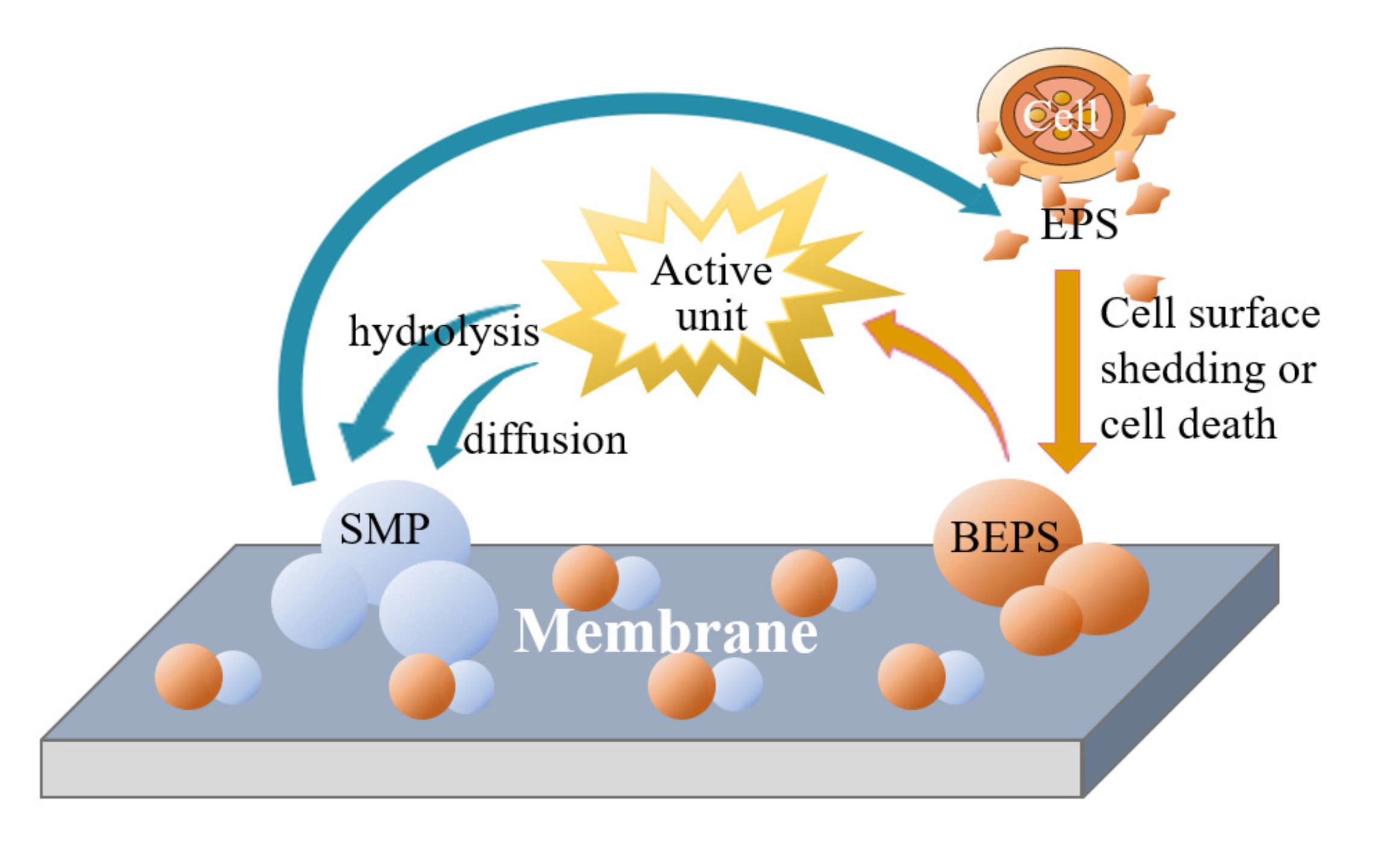 Membranes 12 00473 g006