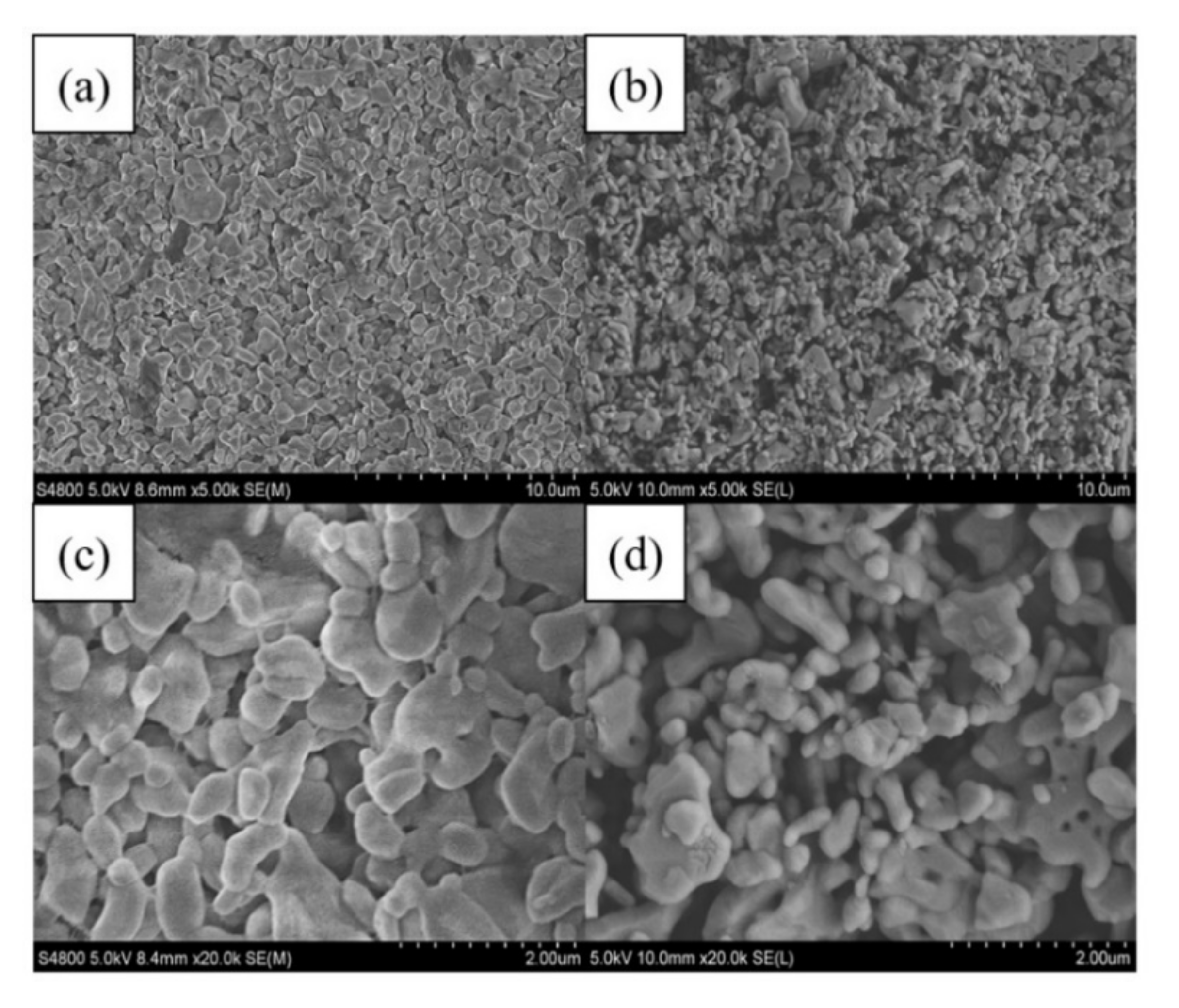 Membranes 12 00473 g008