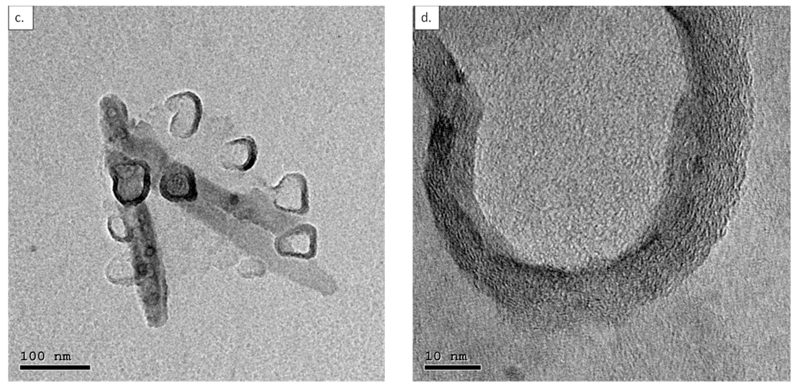 Membranes 12 00474 g003b 550