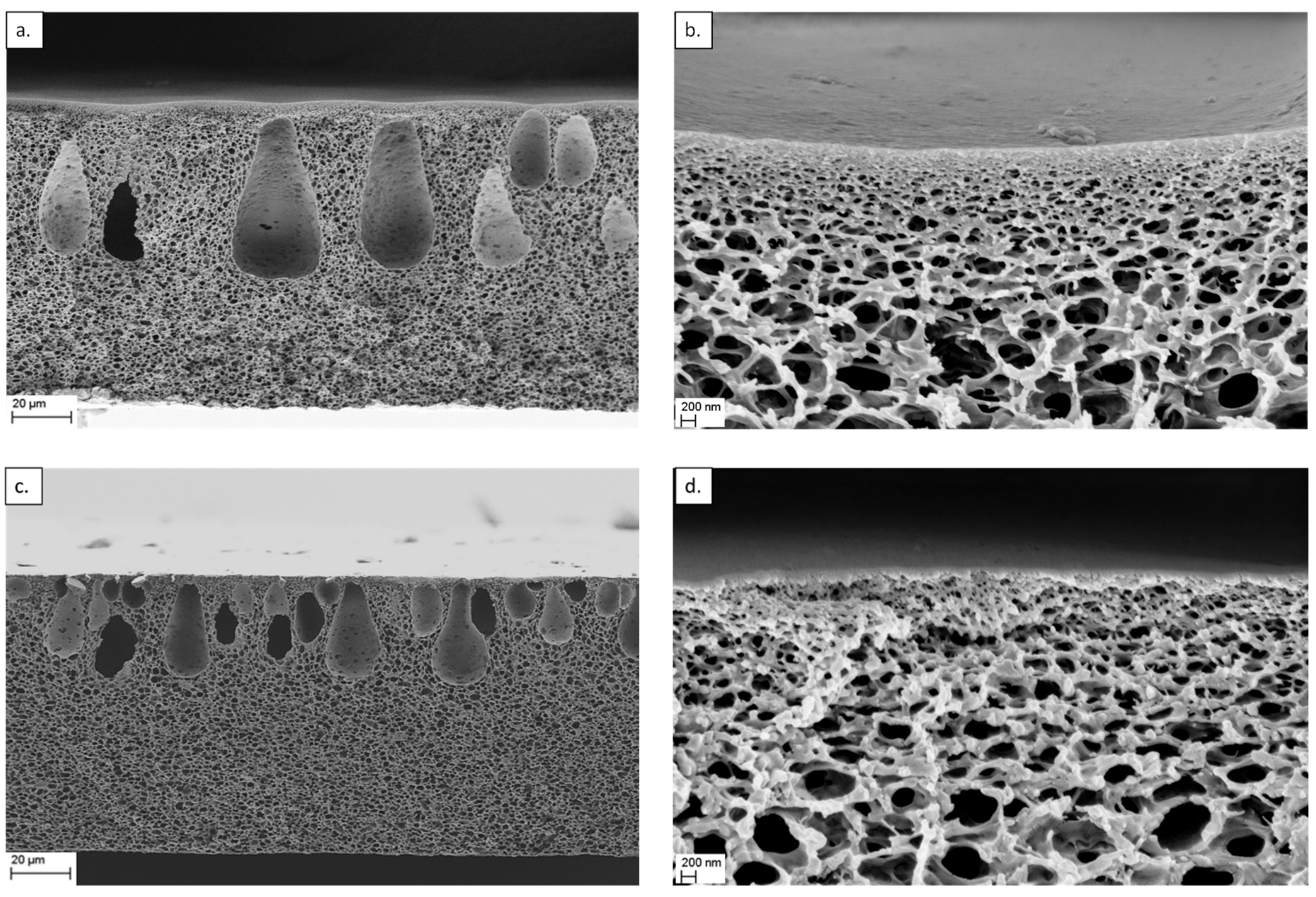 Membranes 12 00474 g007 550