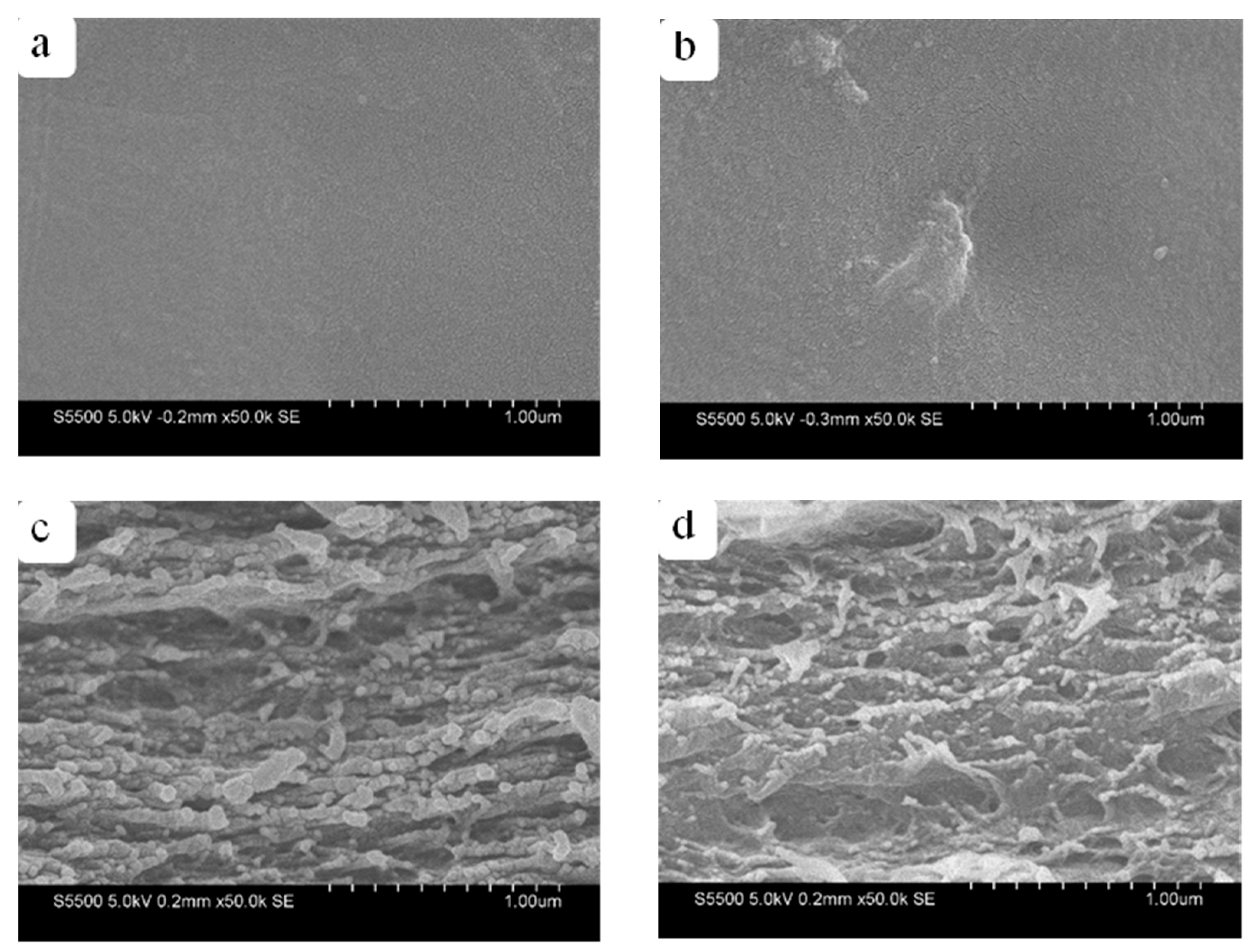 Membranes 12 00475 g006