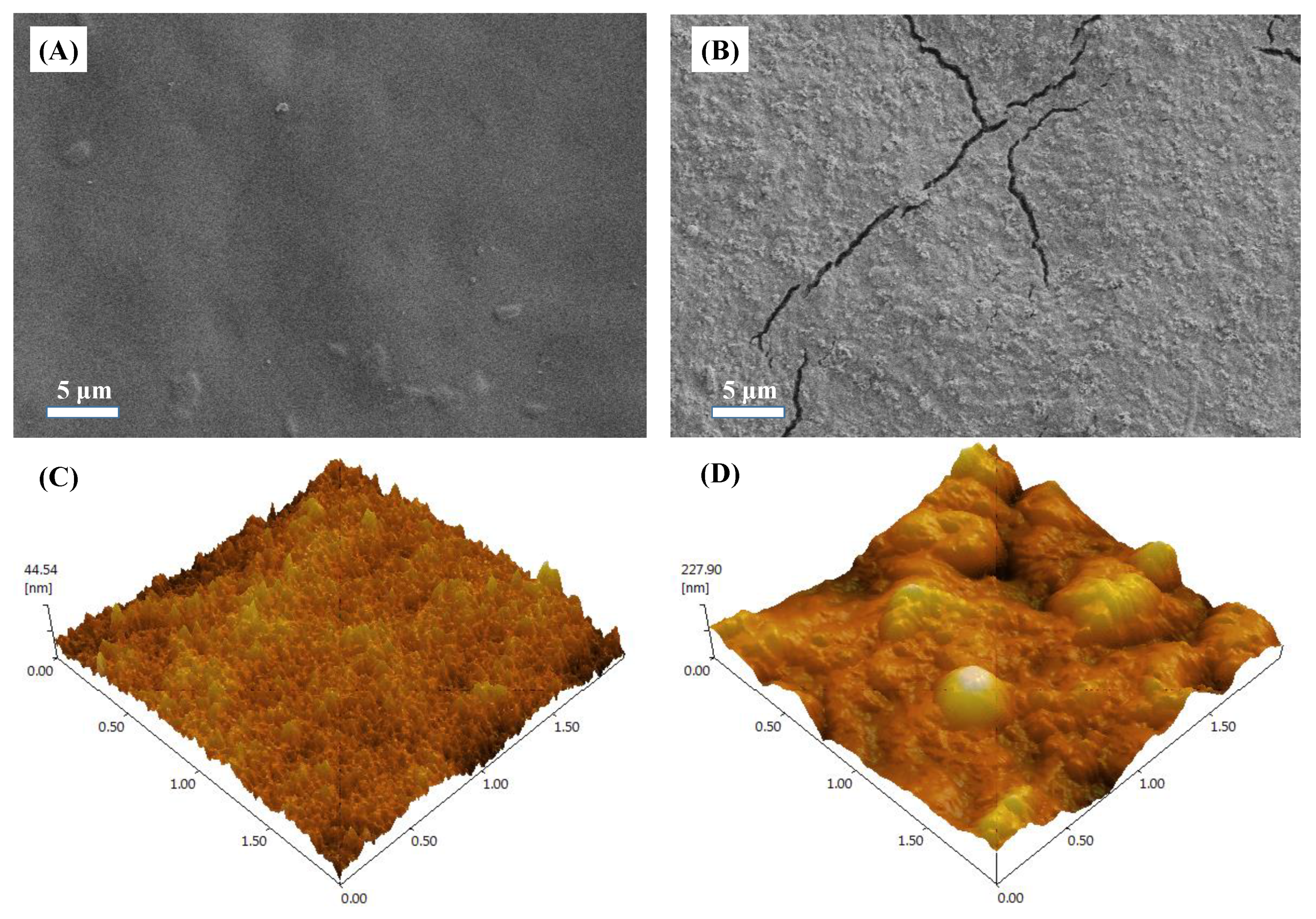 Membranes 12 00476 g004
