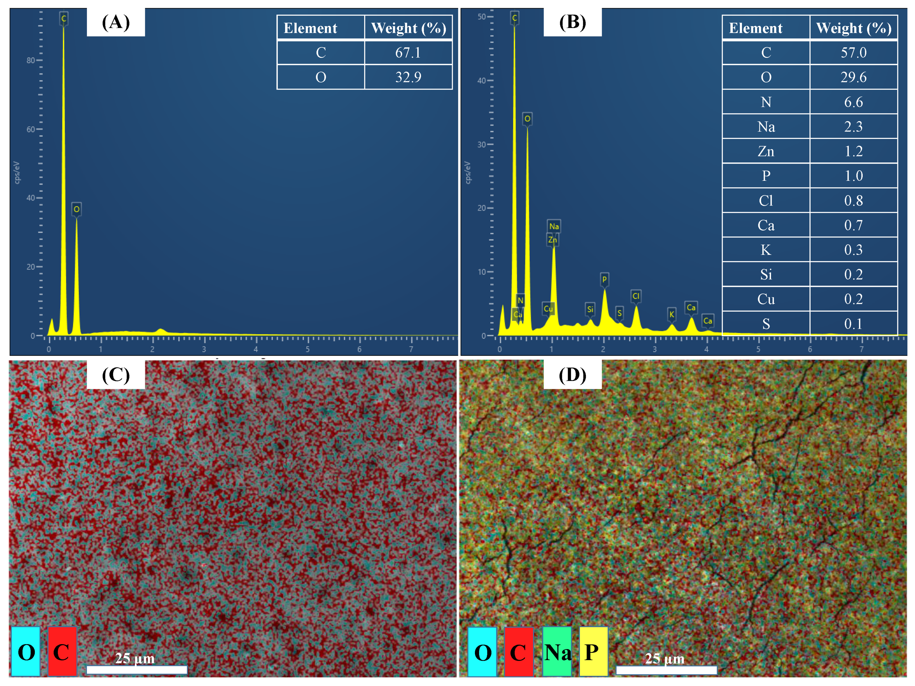 Membranes 12 00476 g005