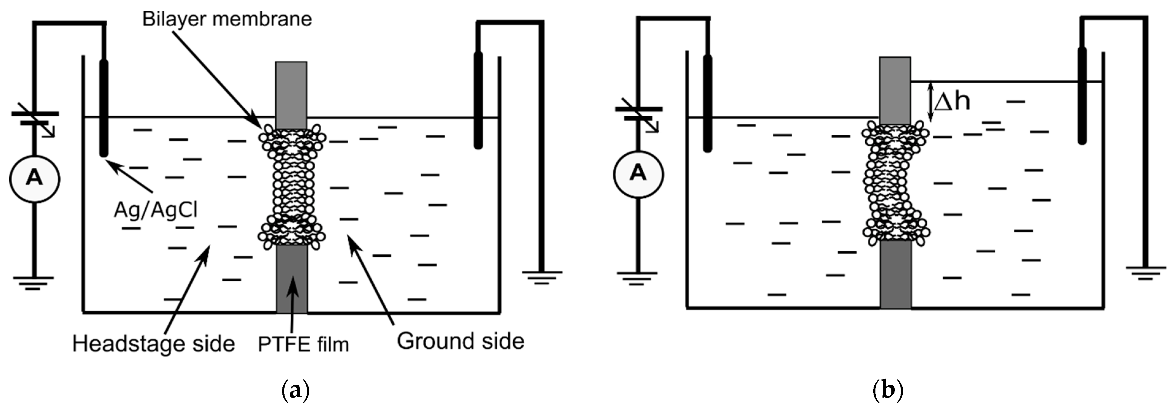 Membranes 12 00479 g001 Membranes 12 00479 g001