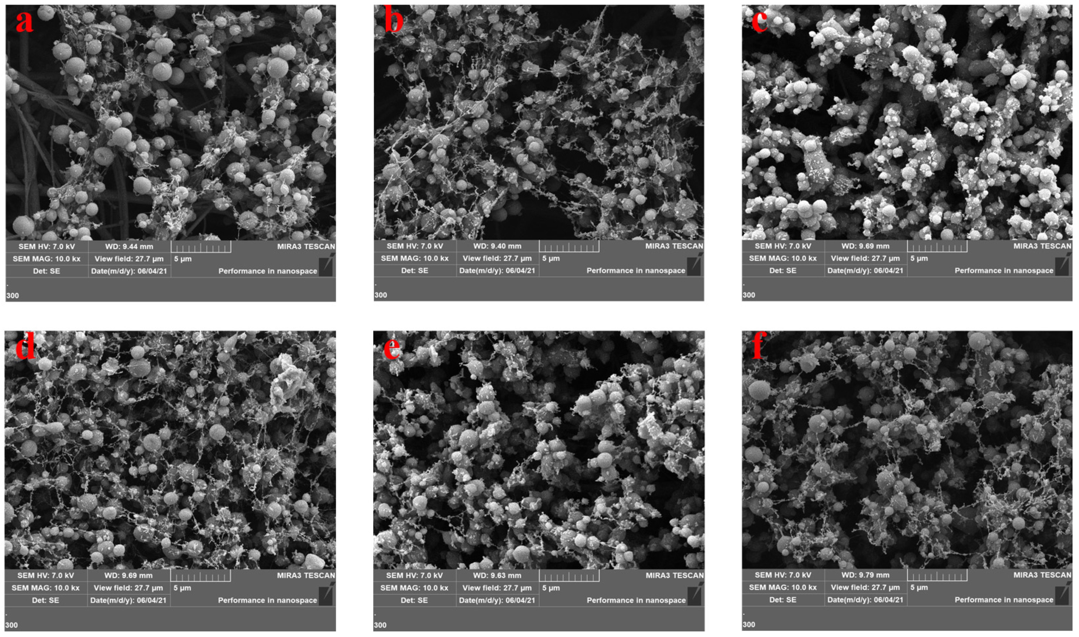 Membranes 12 00480 g003