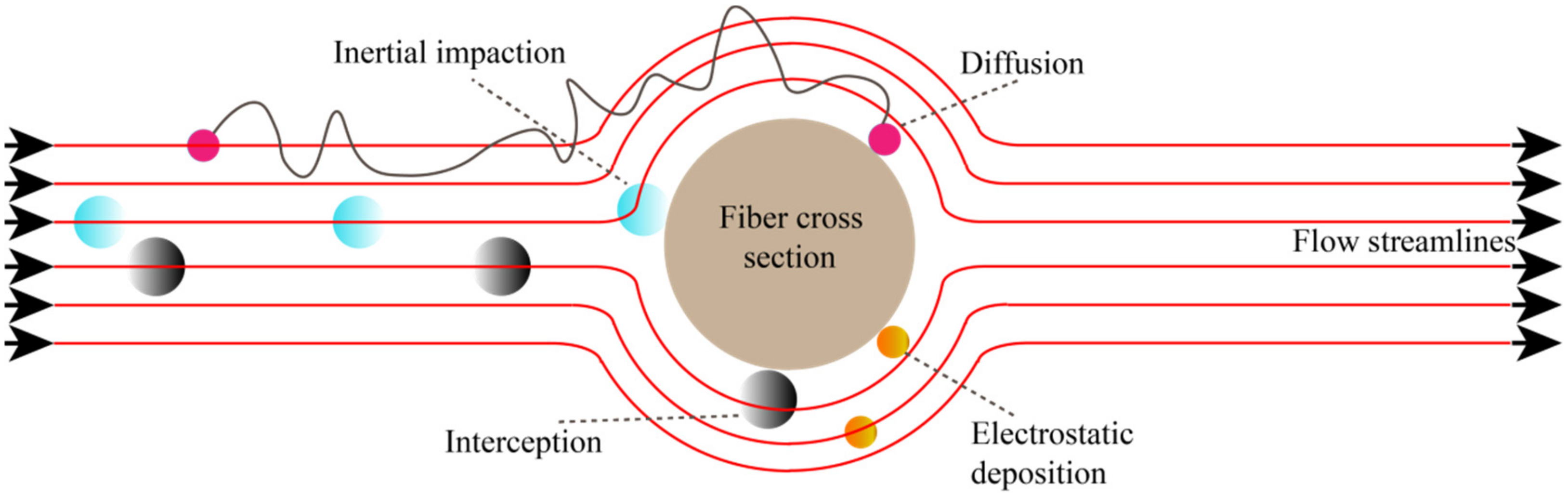 Membranes 12 00482 g008