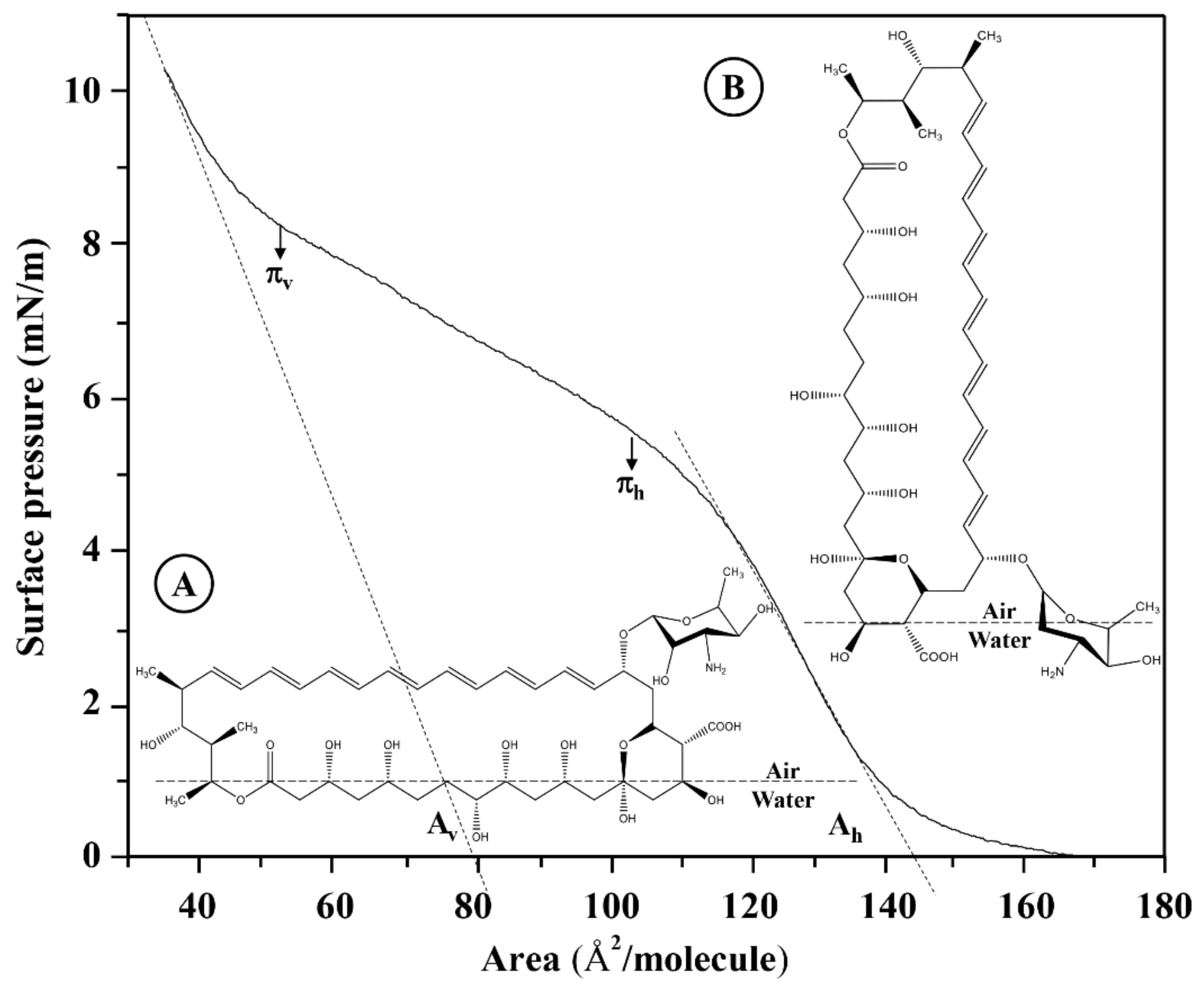 Membranes 12 00483 g006