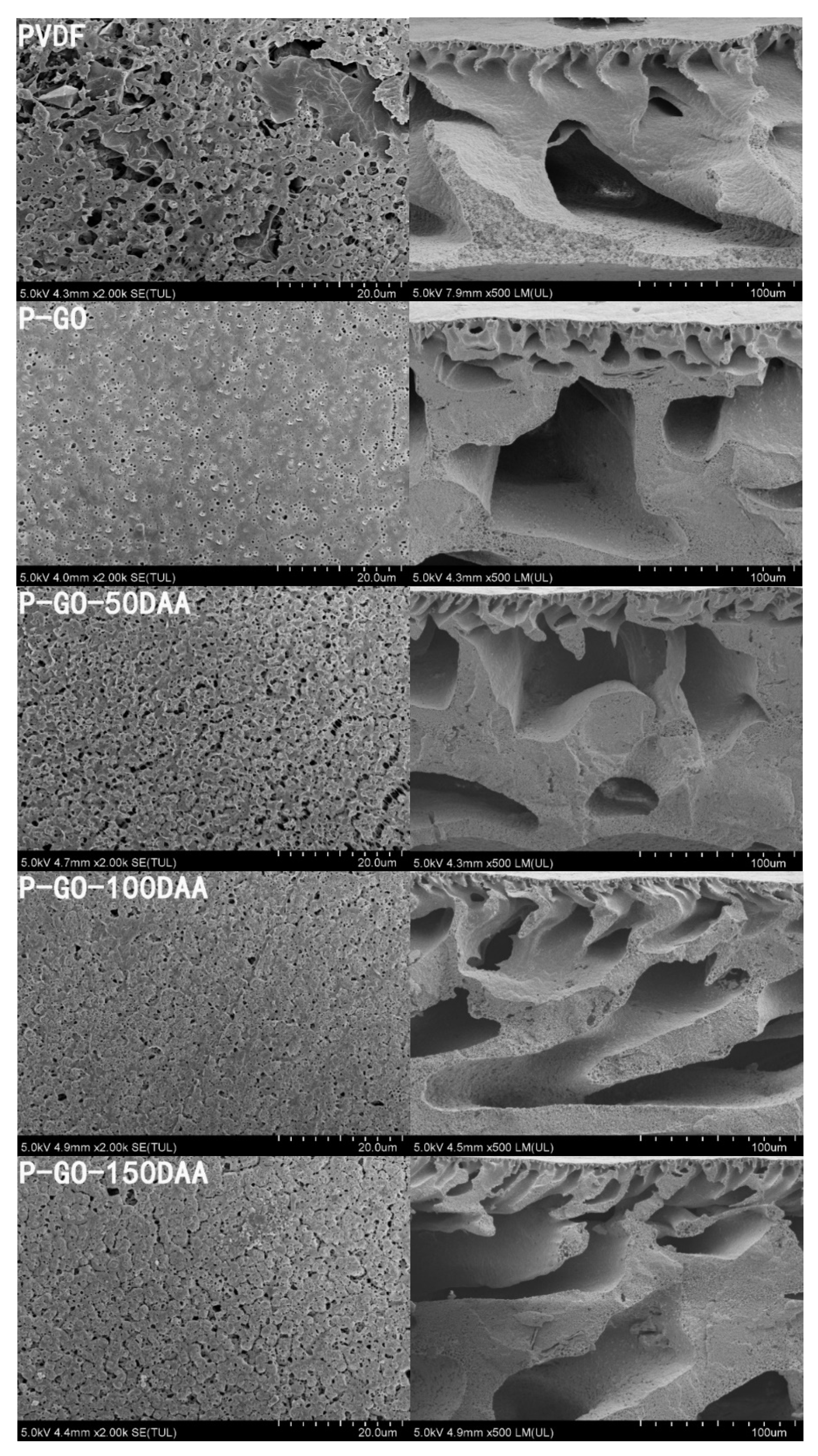 Membranes 12 00486 g005 550