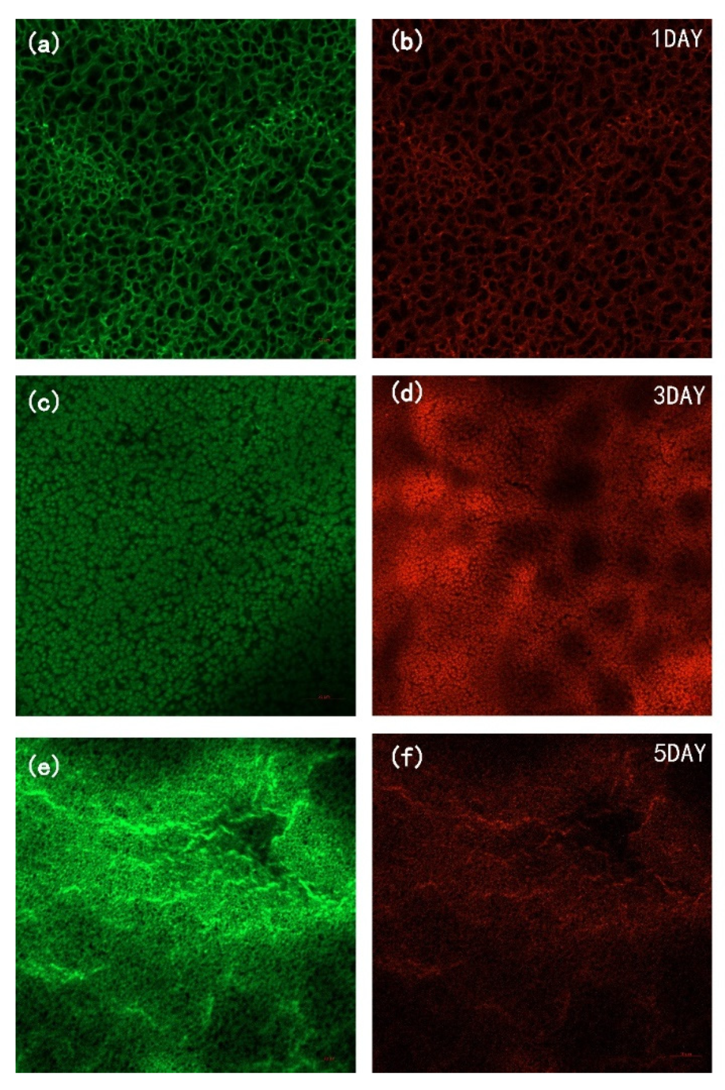 Membranes 12 00486 g010 550