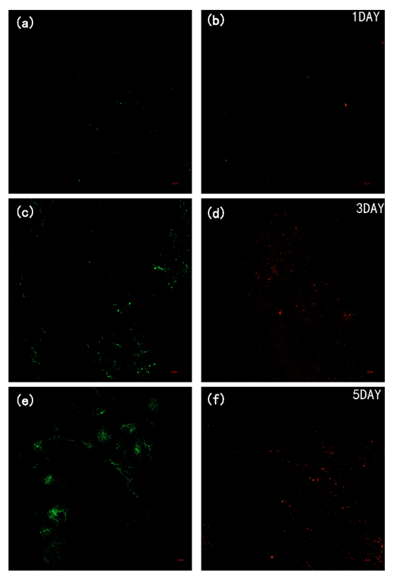 Membranes 12 00486 g011 550