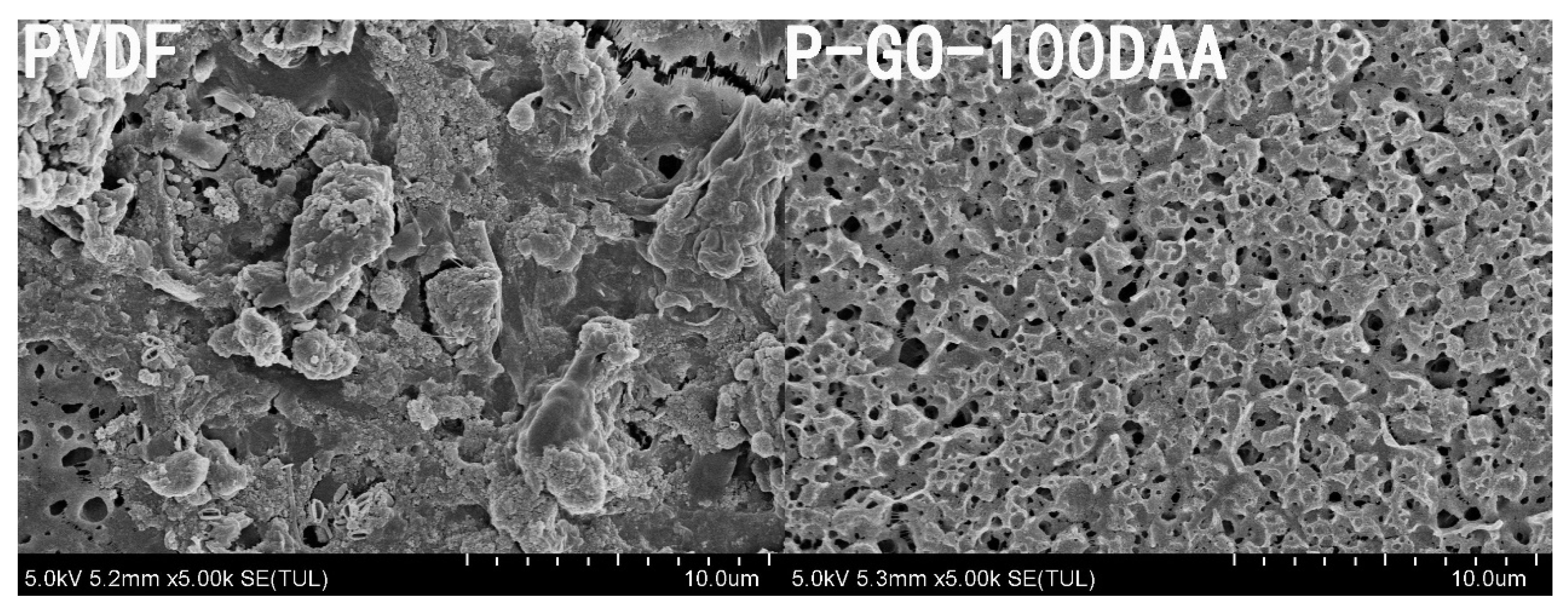 Membranes 12 00486 g014 550