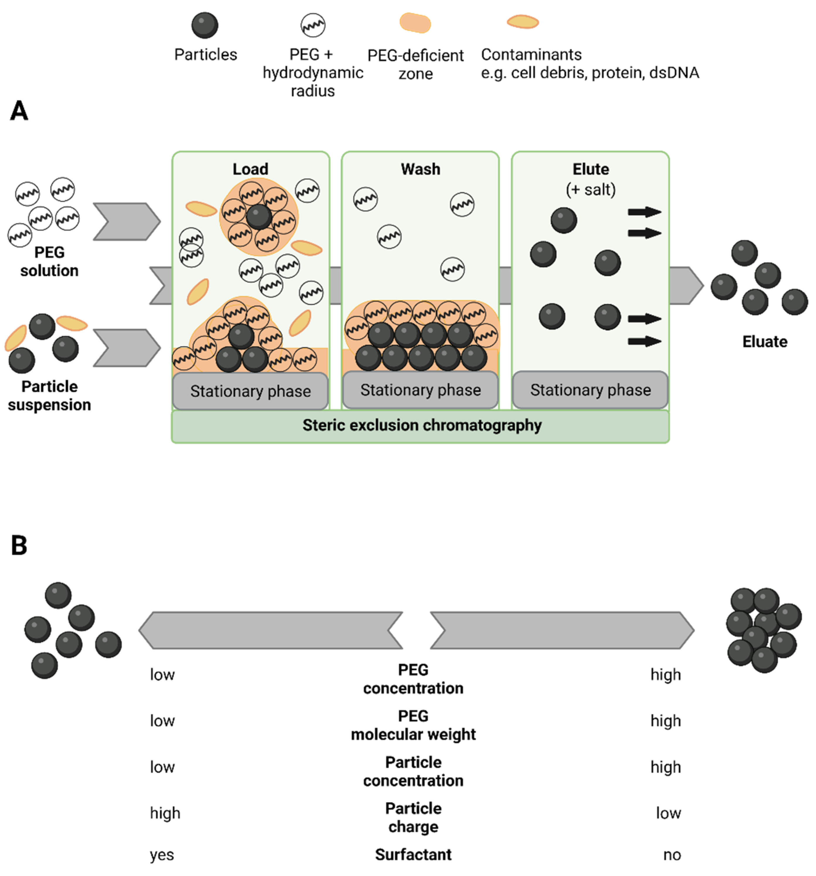 Membranes 12 00488 g001